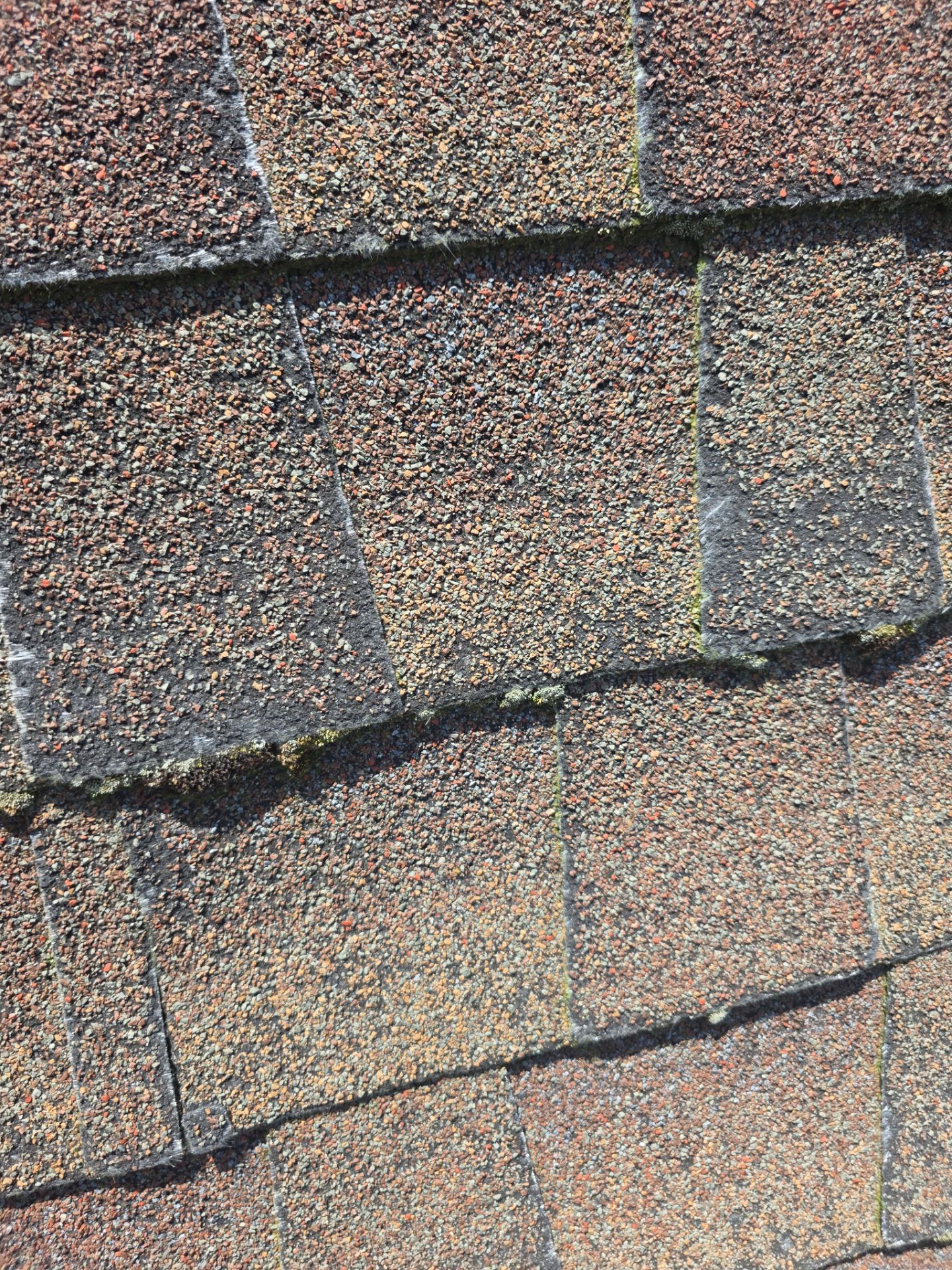 Roof Rejuvenation using Roof Maxx Treatment by Roof Maxx of Folsom