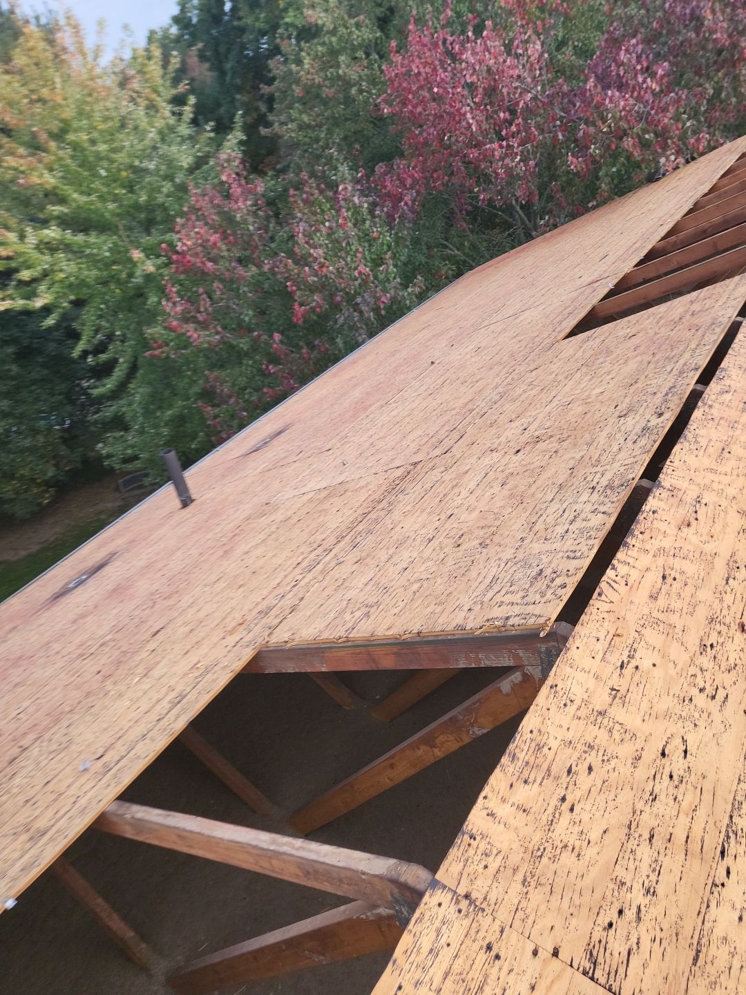 ATLAS PINNACLE COLOR: HEARTHSTONE, DRIP EDGE: BLACK by Eagle Eye Roofing