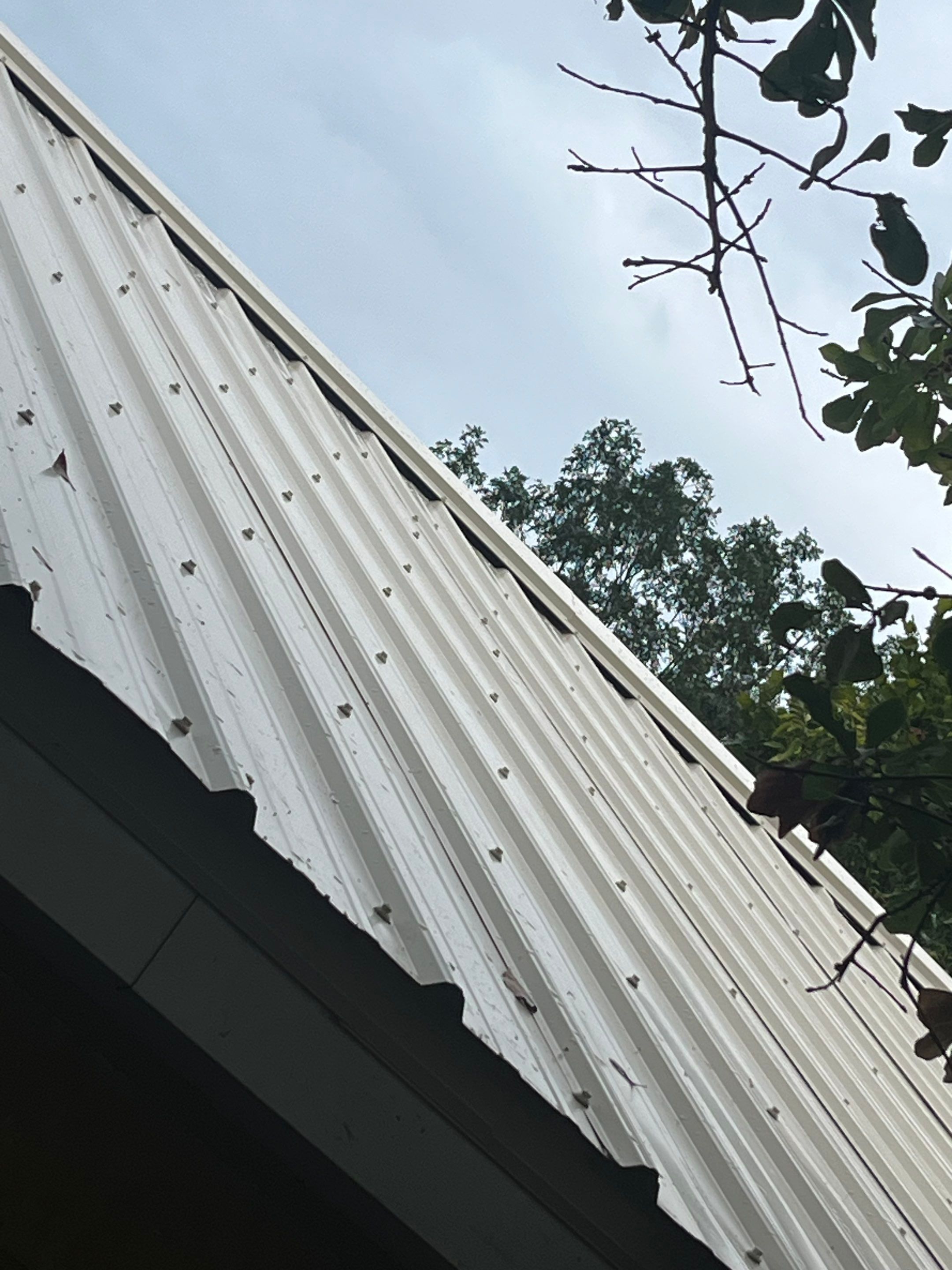 Residential Metal Roof Replacement using Reed's Metals by Hostetler Roofing