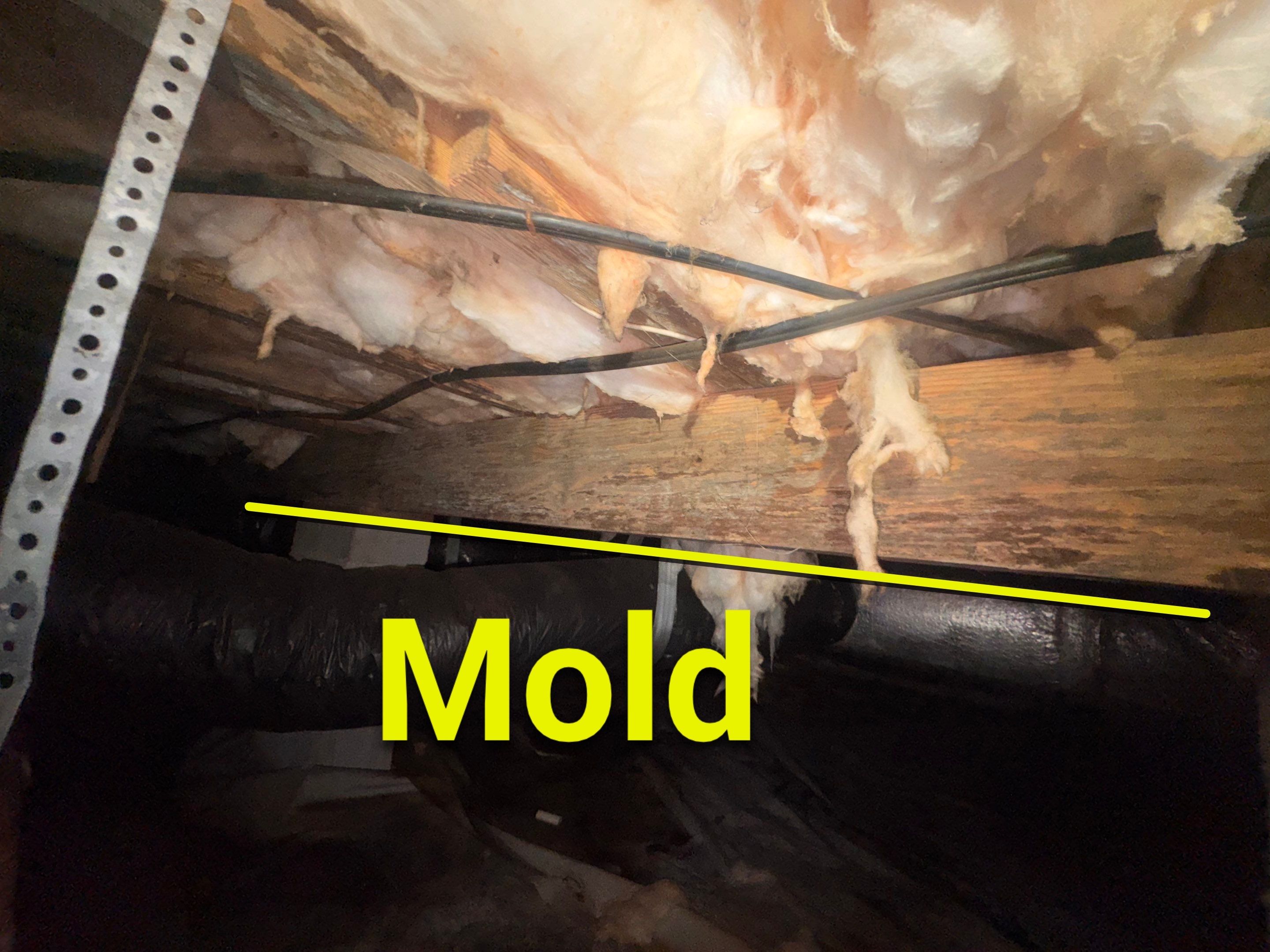 Moisture Barrier, Mold Clean, Structural Repair, Dehumidifier, R19 Insulation. by Impact Crawlspace