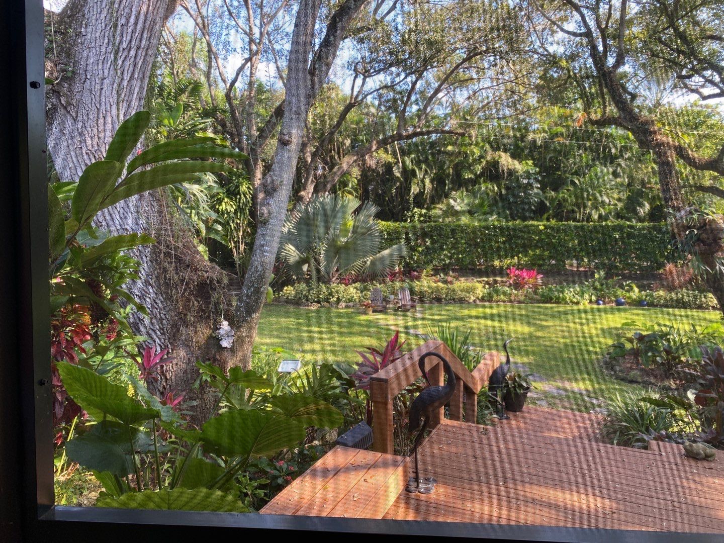 Tropical Residential Landscape in Pinecrest by Nature's Dream Landscape and Tree Service