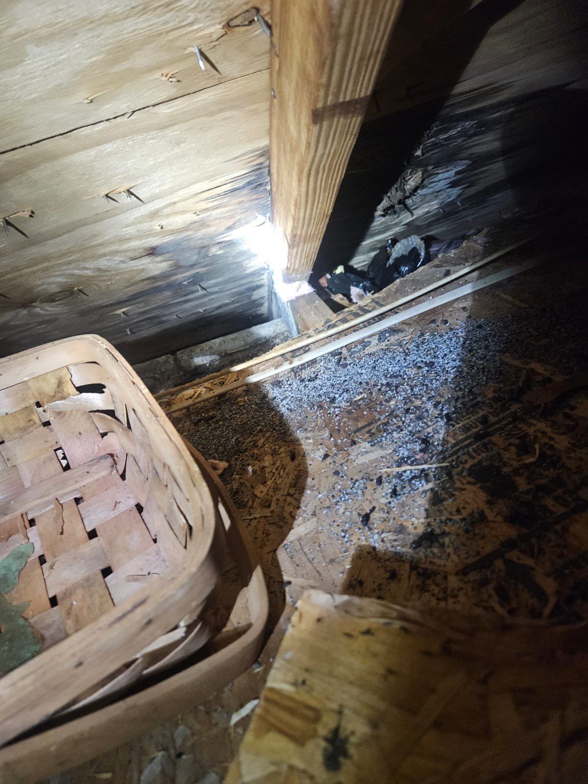 Repair Photos by Four Peaks Roofing