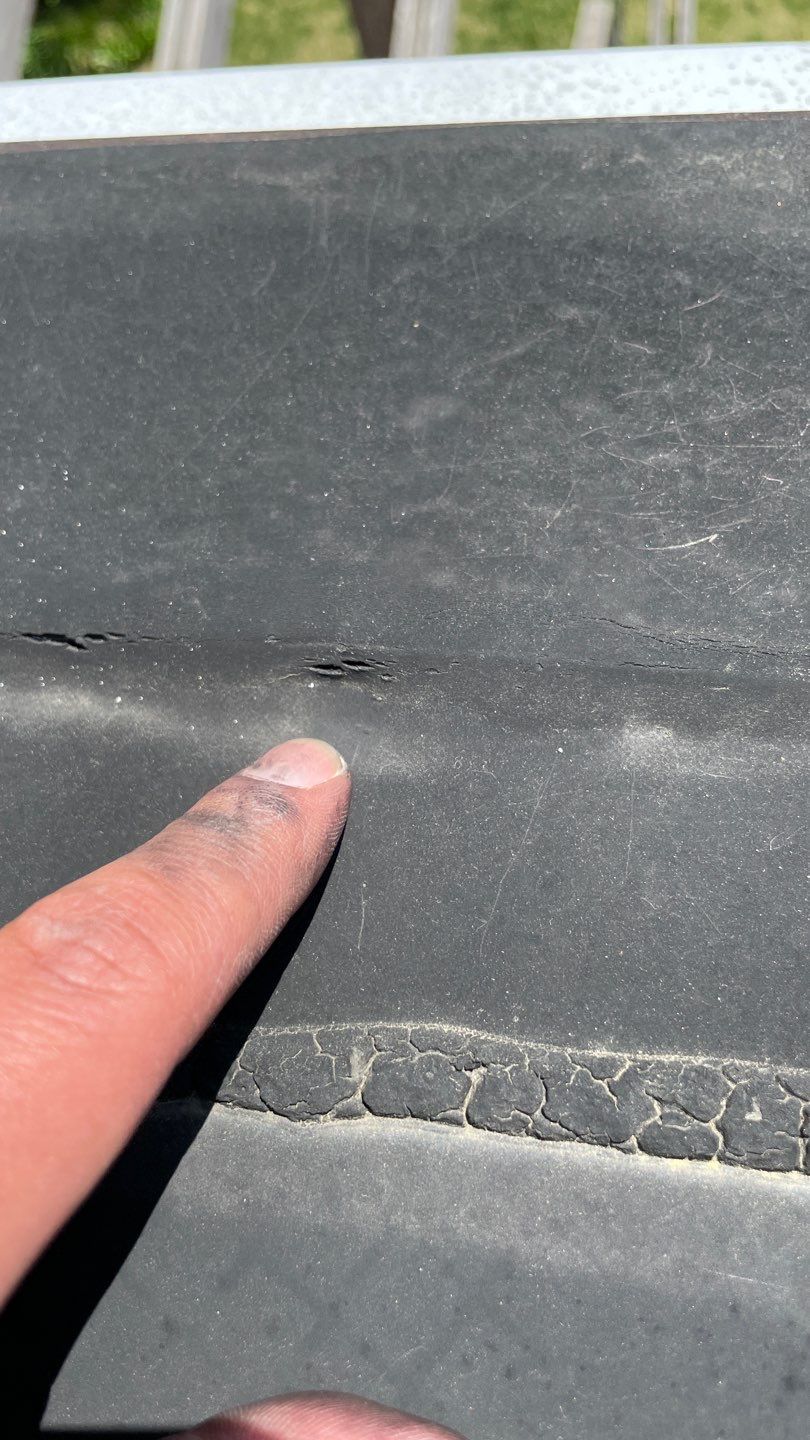 Alexandria: Mule Hide TPO Flat Roof by RM Banning, Inc.