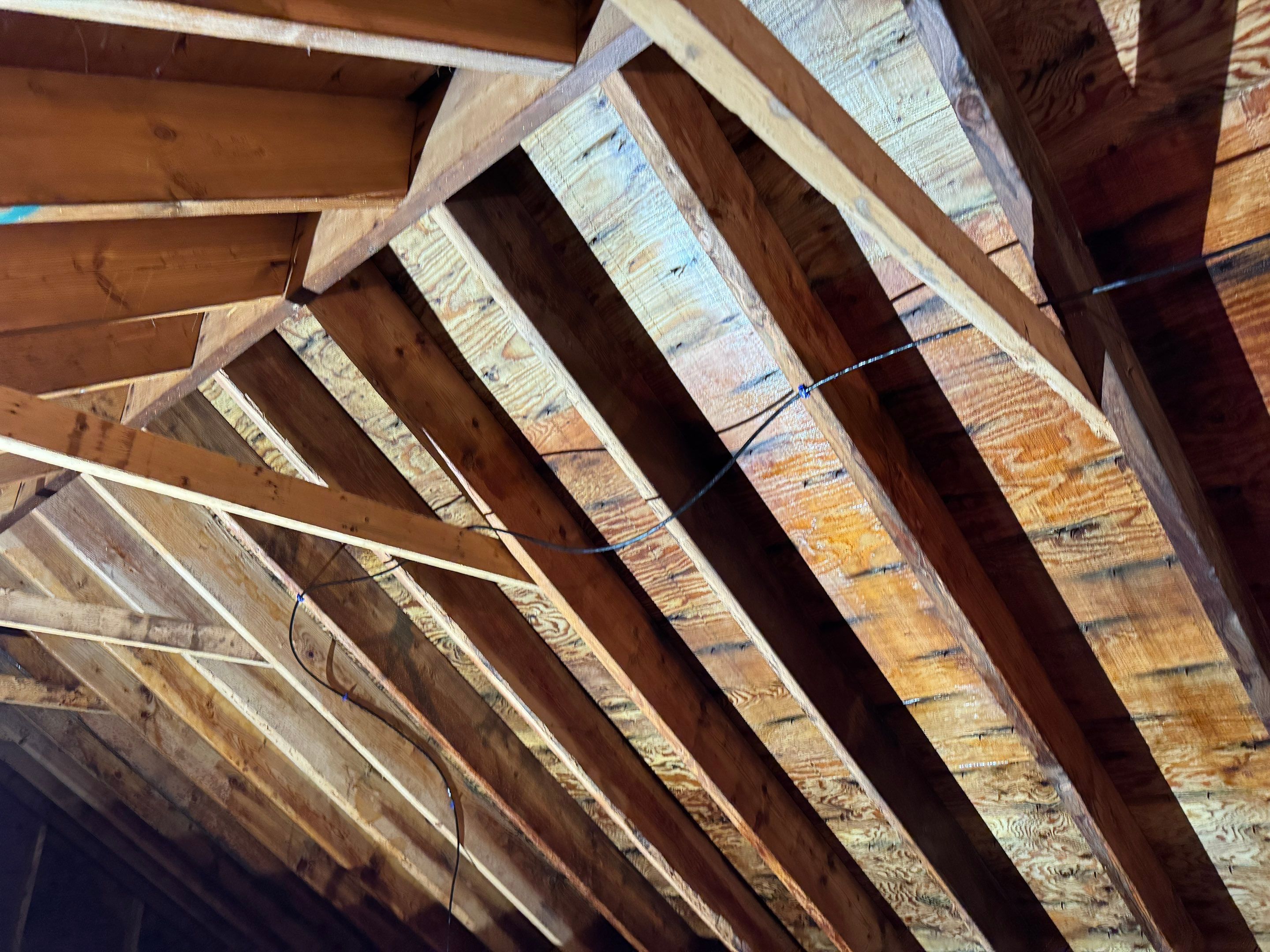 Attic Mold Remediation using Home Guarantee by Home Guarantee, LLC
