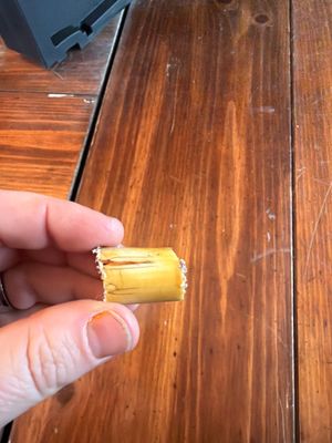 Water Damage Copaigue