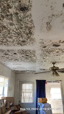 Mold Assesment using IR Camera, Moisture Meter, Air Cassatte samples and Tape lifts