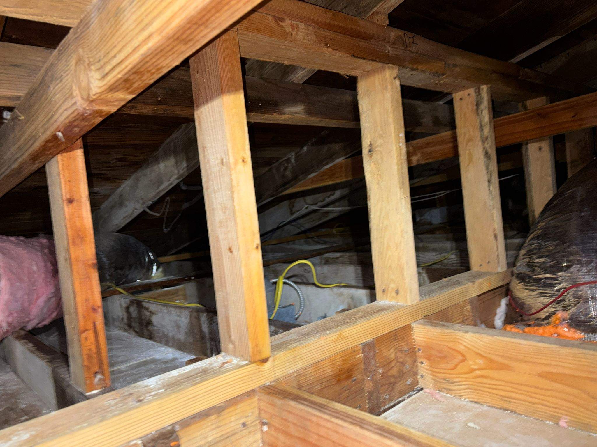 Project in Pacific Palisades by Insulation Labs