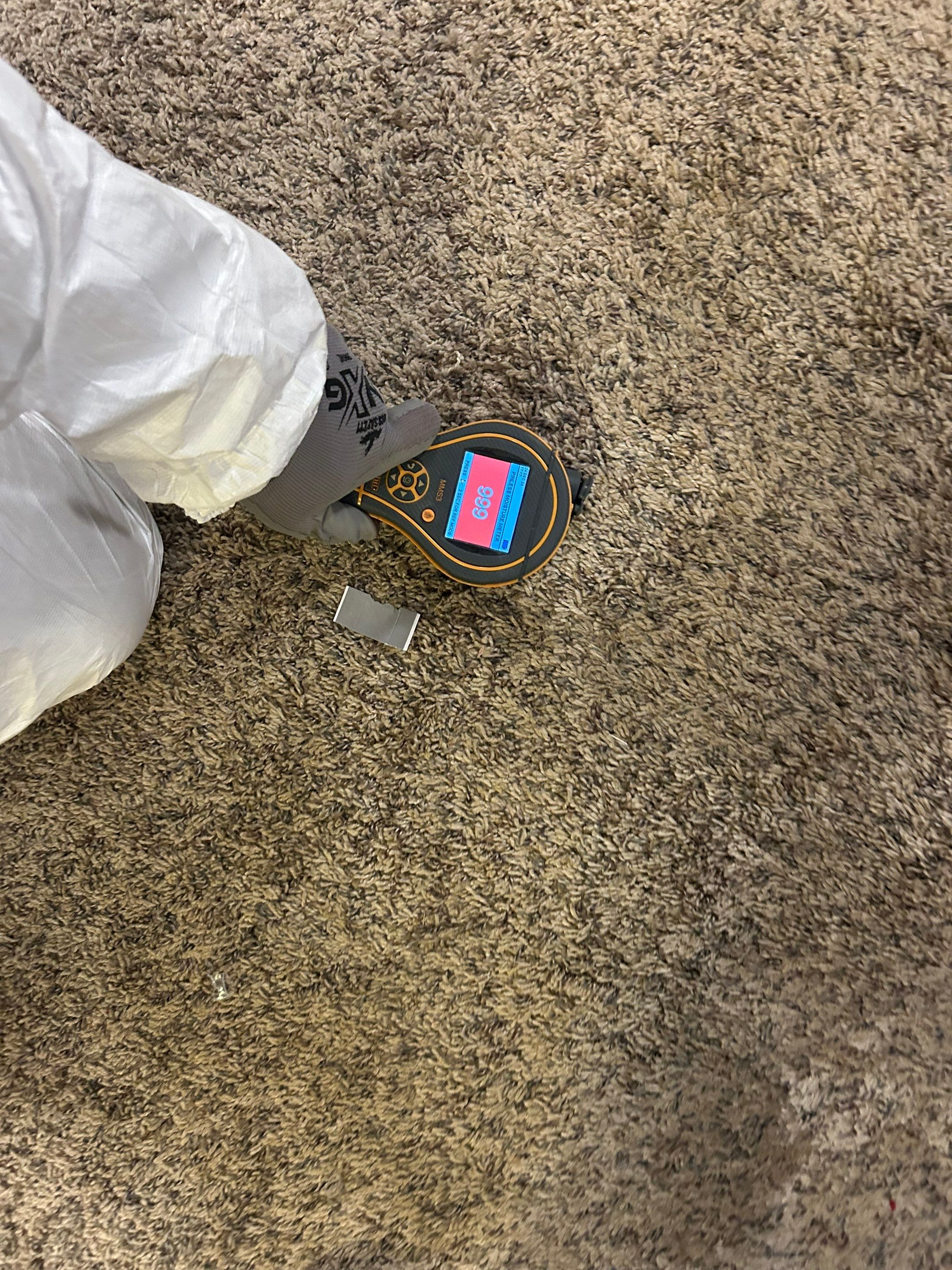 EMS Sewage Cleanup in Memphis, IN by ANR Restoration