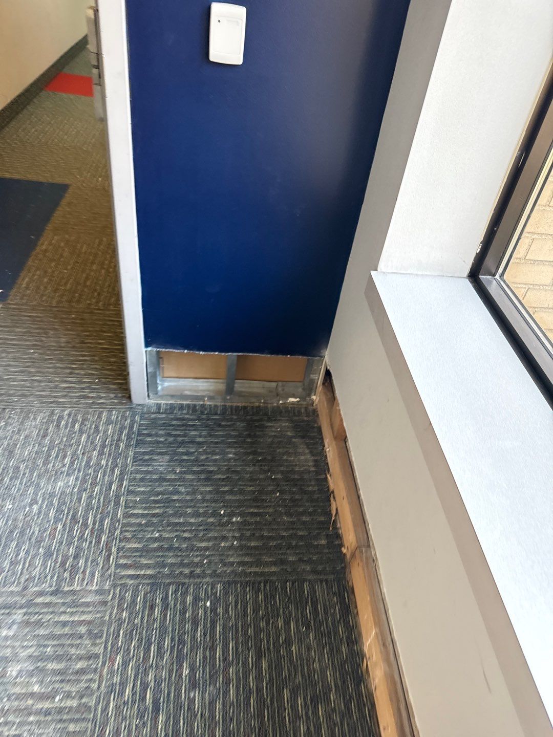 Project in Warren by EzDry Water Mitigation & Property Restoration