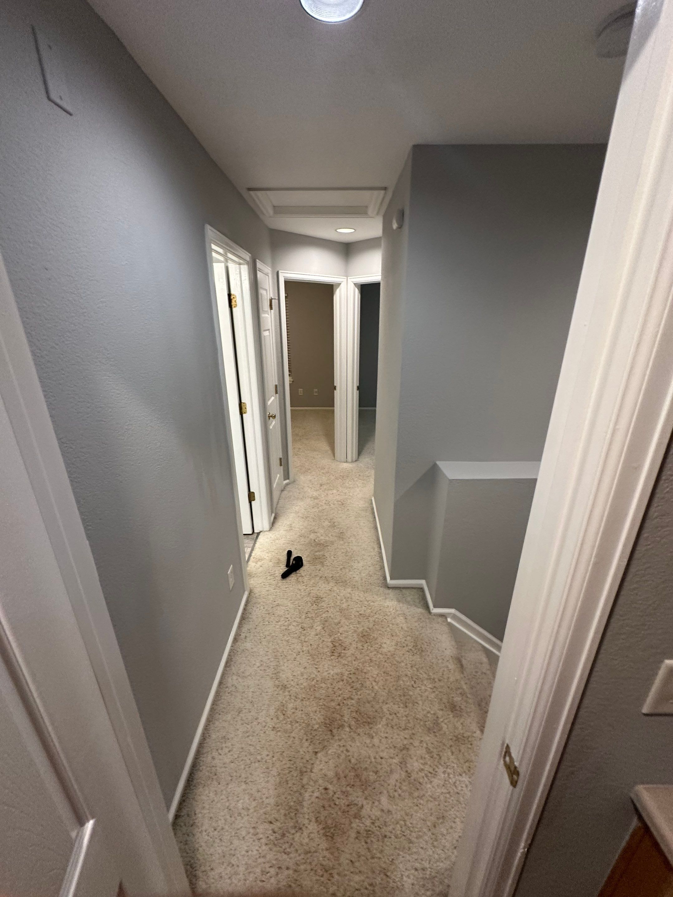 Water Damage in Highlands Ranch by Alpha Restoration 