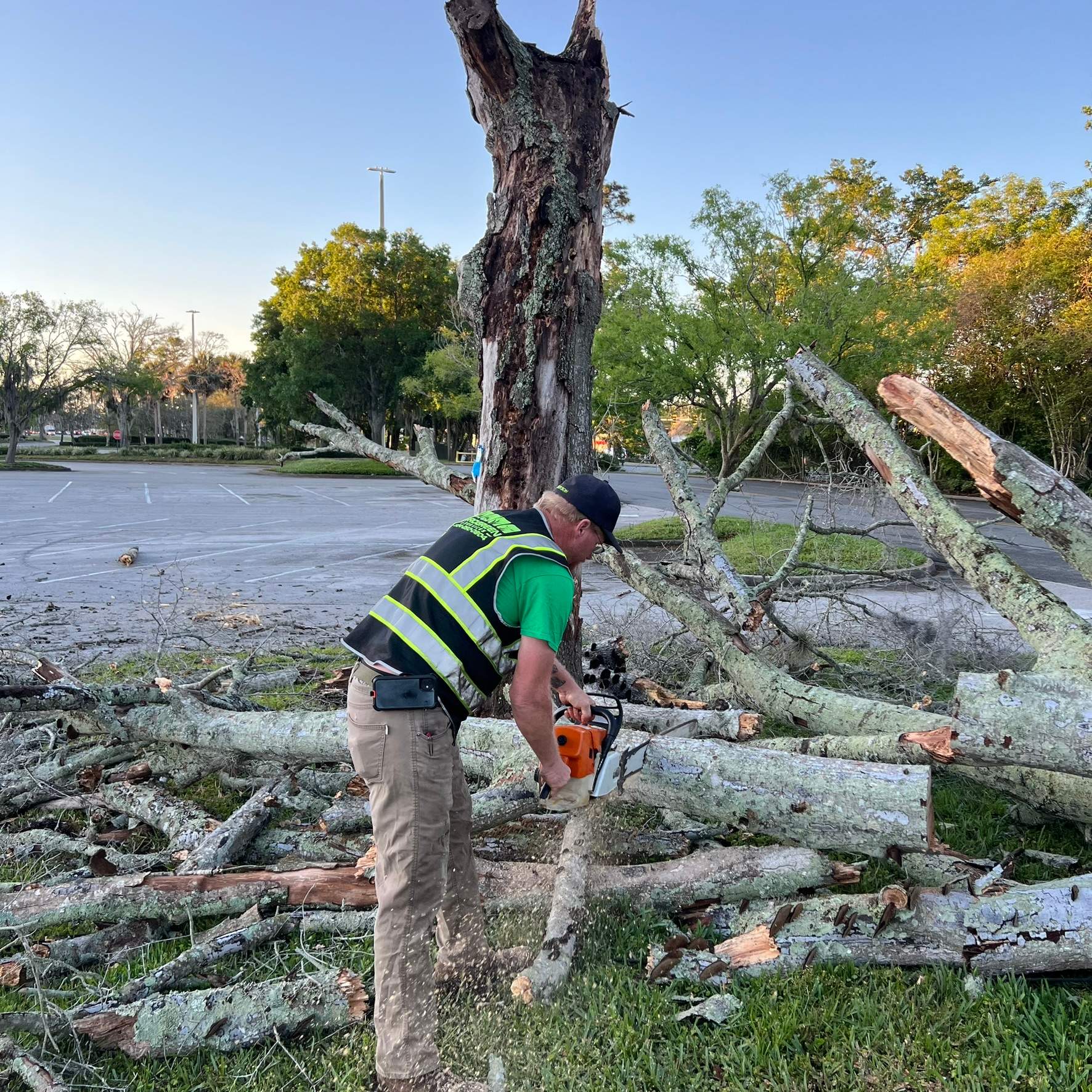 Tree Work | The Avenues Mall by ProGreen Services