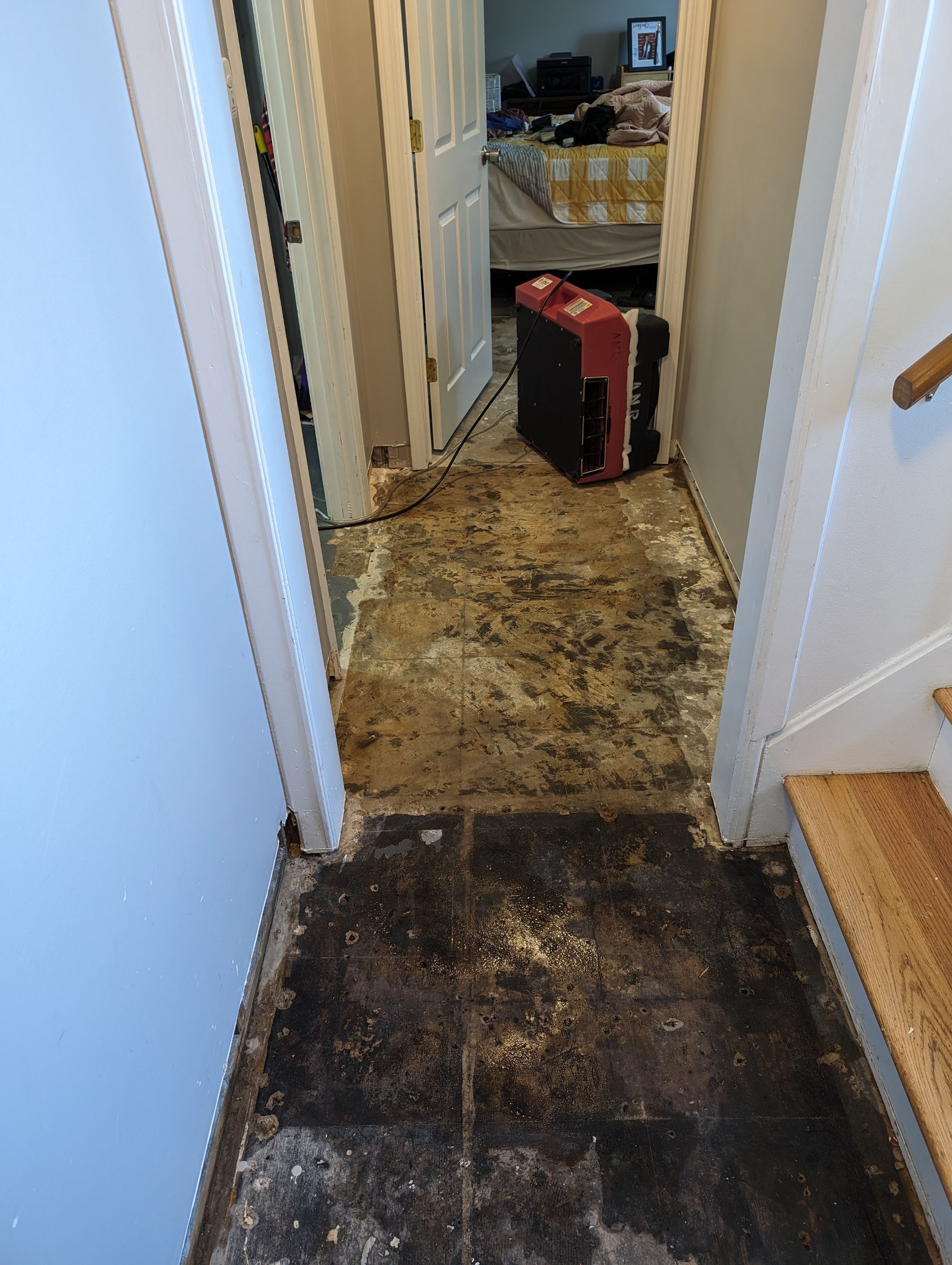 Sewage Cleanup in Louisville, KY by ANR Restoration