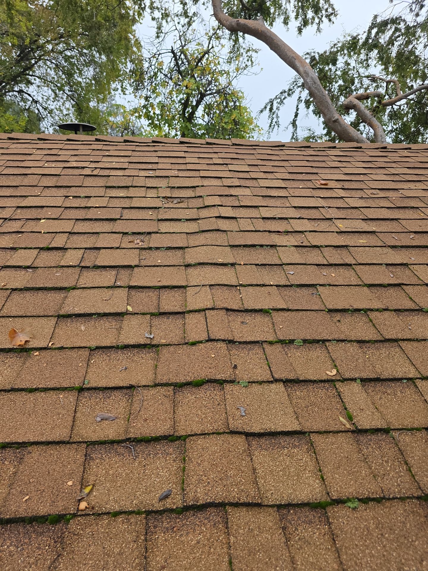 Roof Rejuvenation using Roof Maxx Treatment by Roof Maxx of Folsom