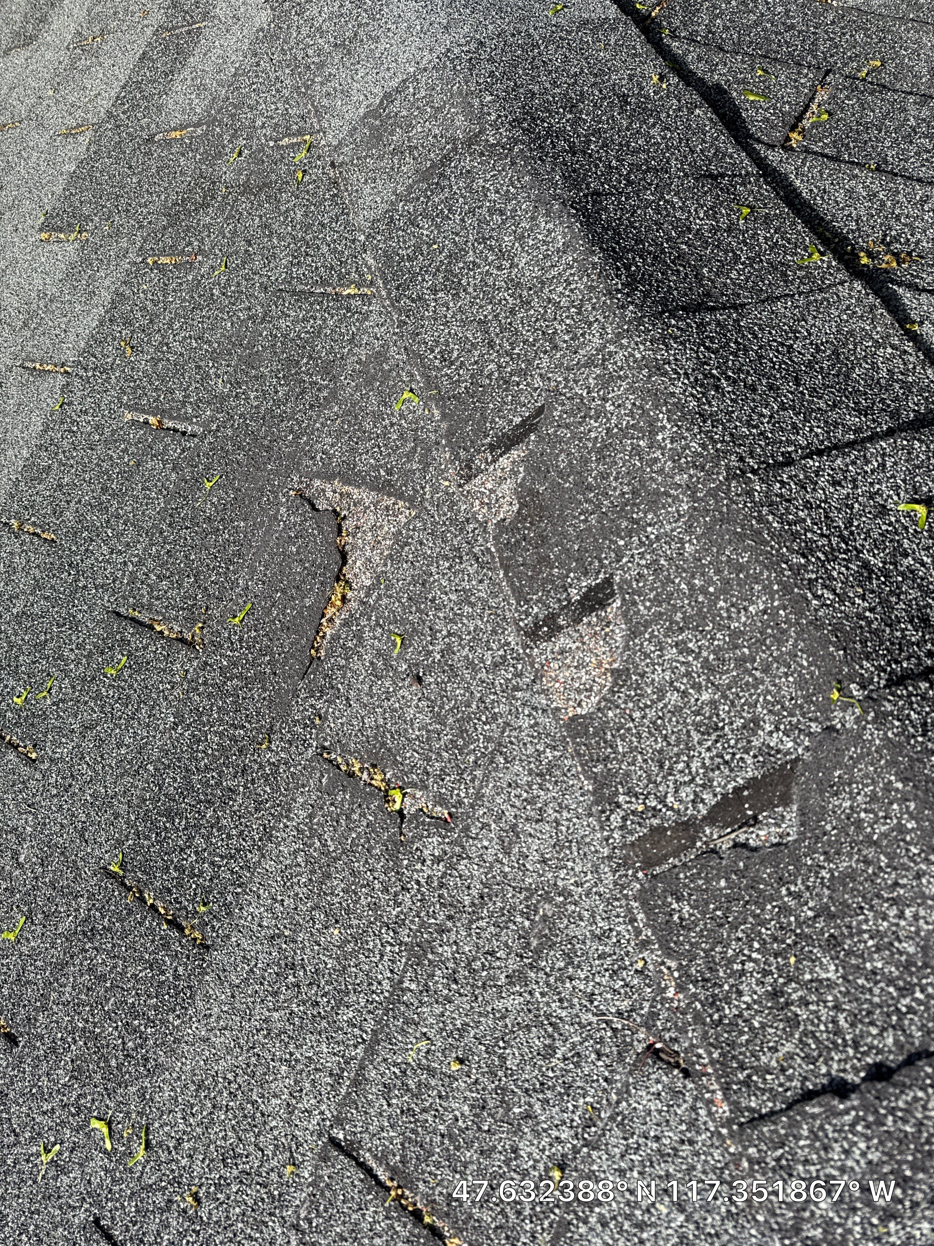 Spokane Residential Roof Replacement with CertainTeed Shingles and Fascia Repair by Alpine Roofing