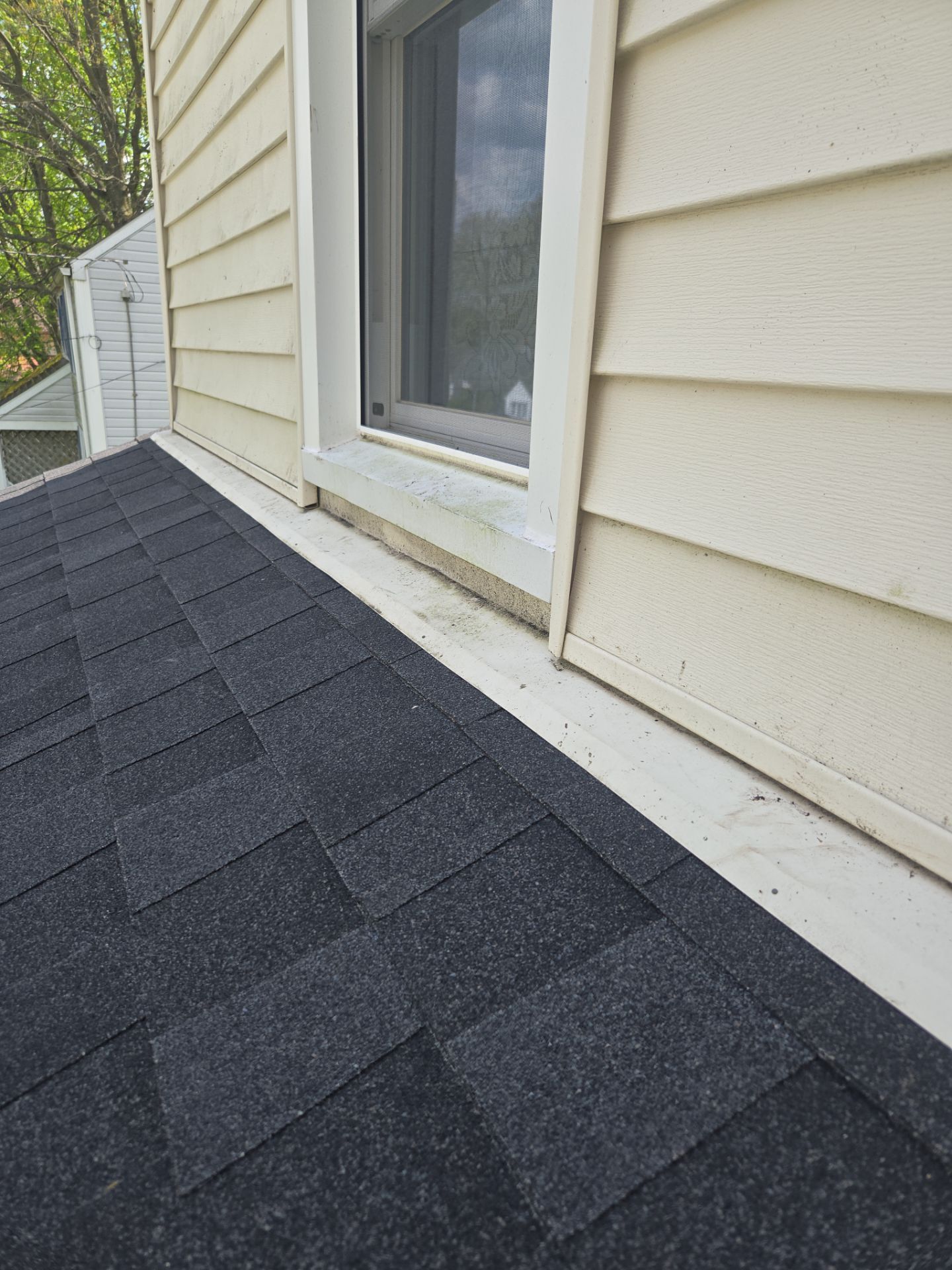 Abby D: Atlas Pinnacle, Color, Black Shadow, Drip Edge, Black by Eagle Eye Roofing