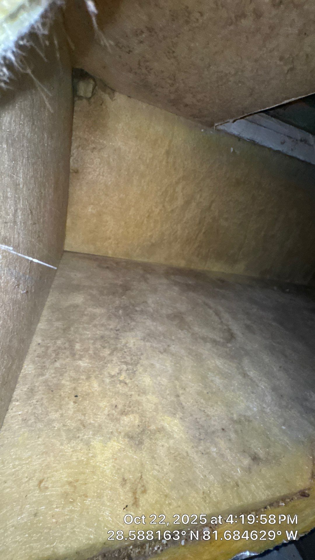 Air Duct and Dryer Vent Cleaning in Montverde by Hygienic Air, Inc