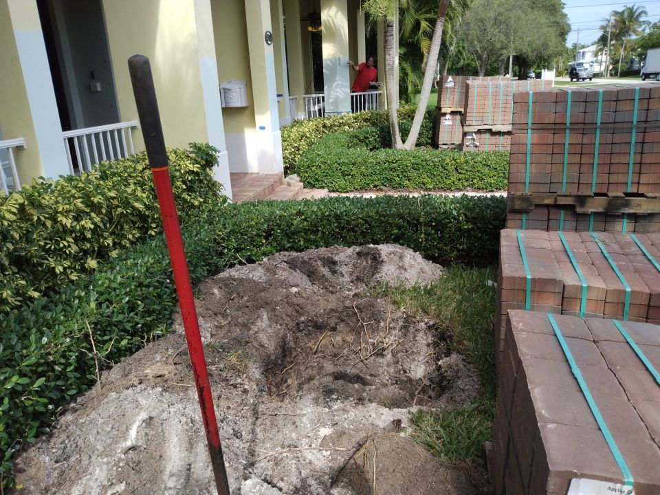 Hazard  by The Landscaping People