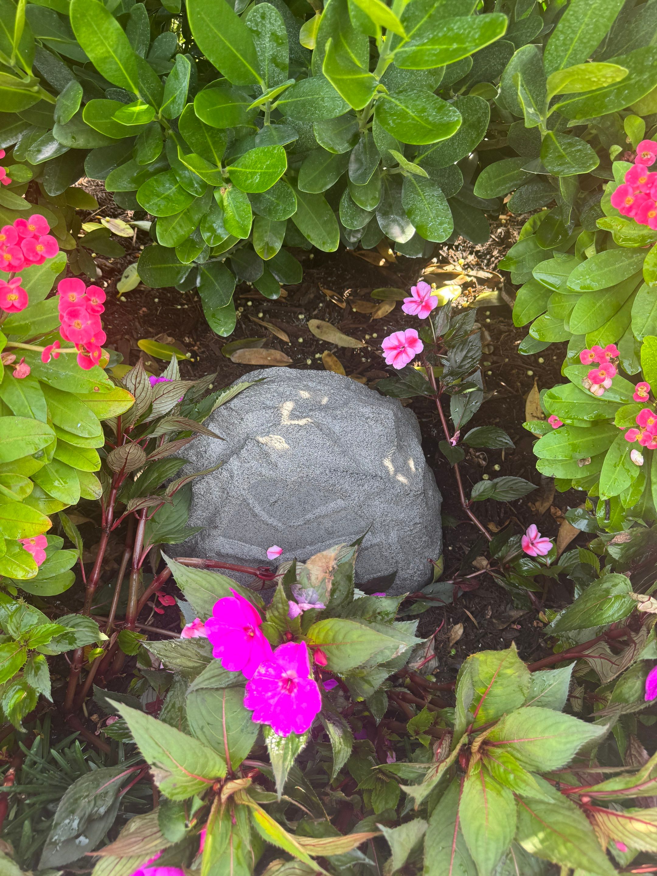 Landscape Speaker Replacement using Sonance RK83 Outdoor Rock Speaker by Creative Media Designs
