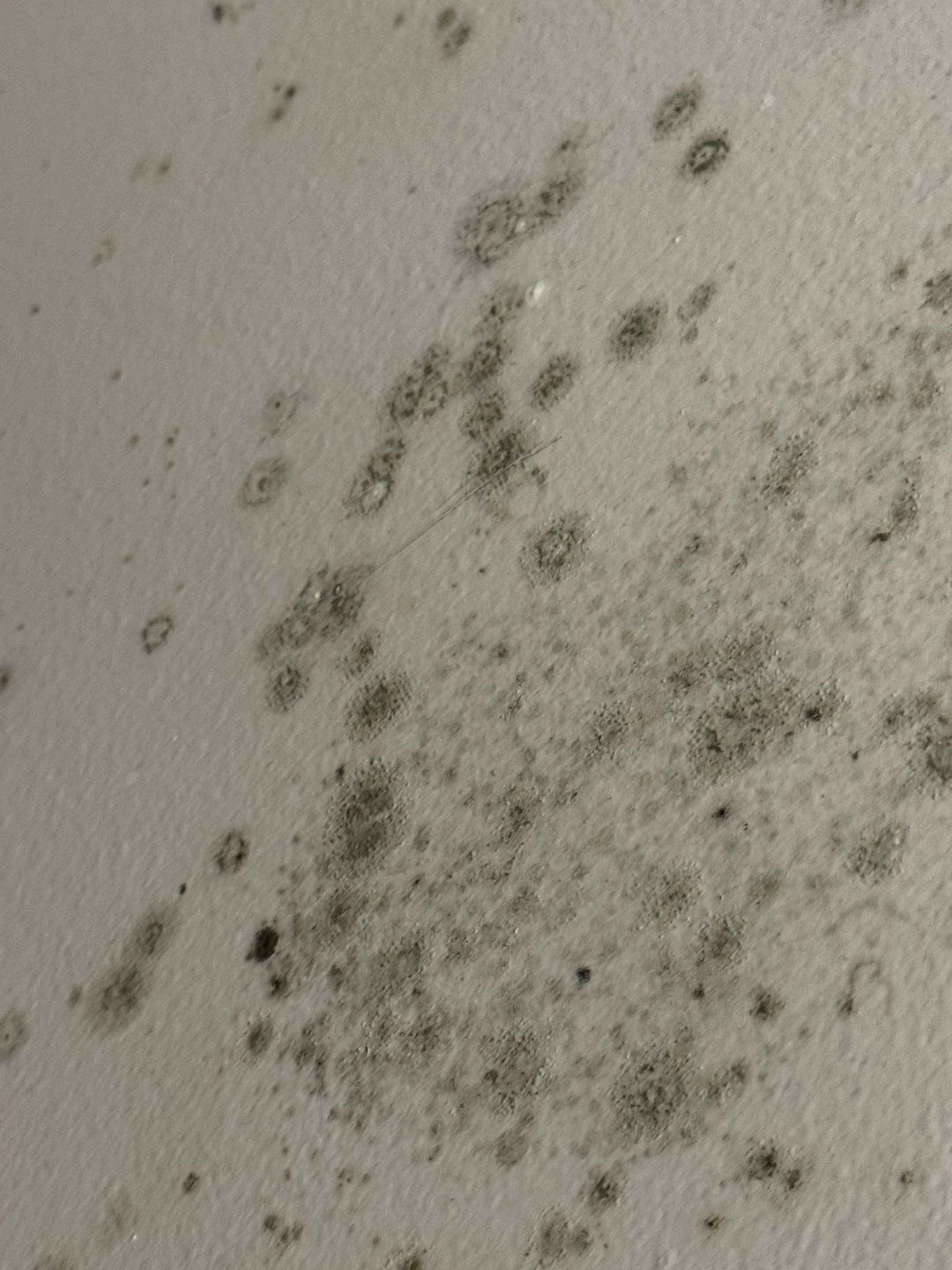 Commercial Water Mitigation in Jeffersonville, IN by ANR Restoration