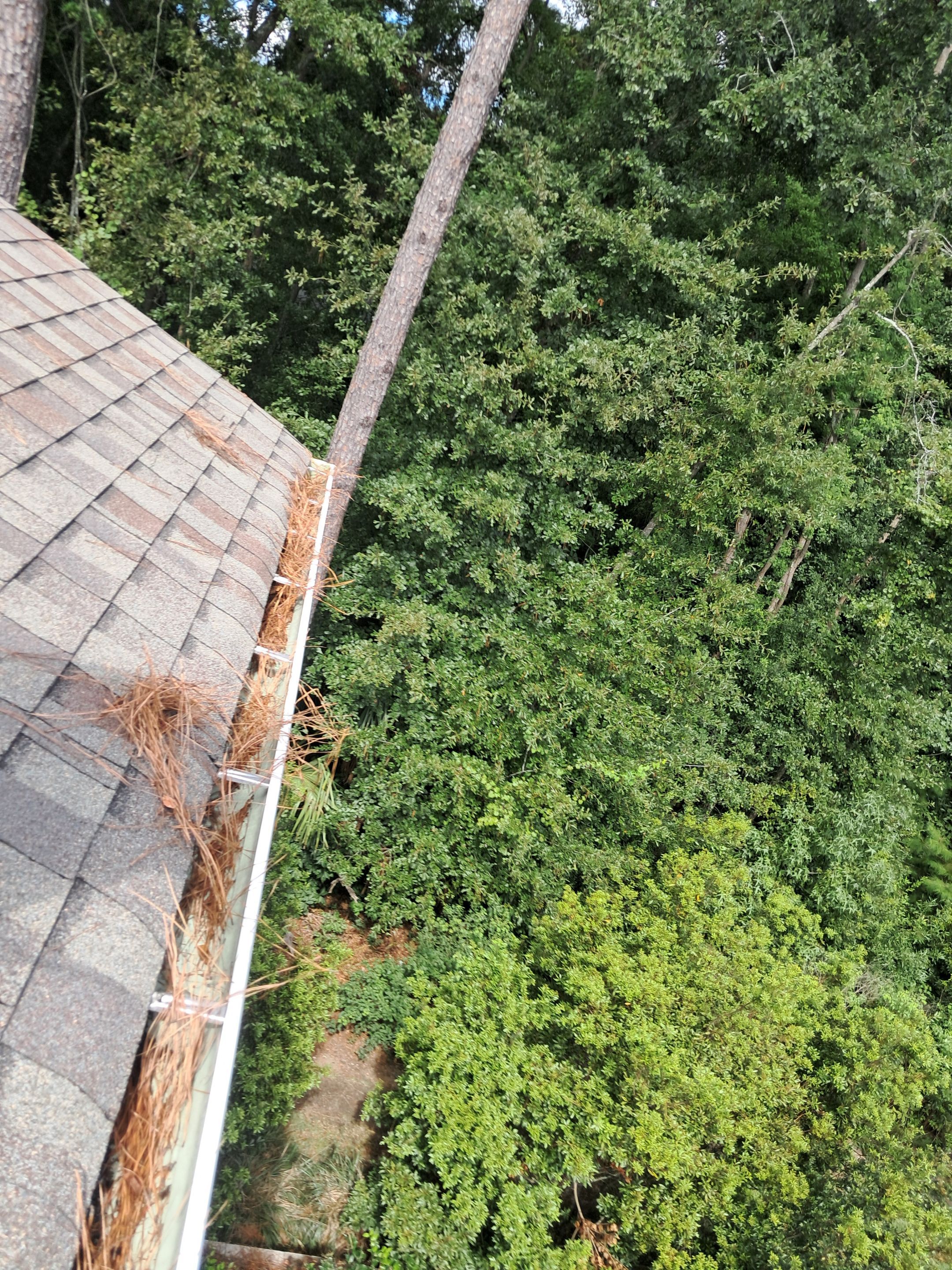 Commercial gutter cleaning Charleston before photo with filled gutters