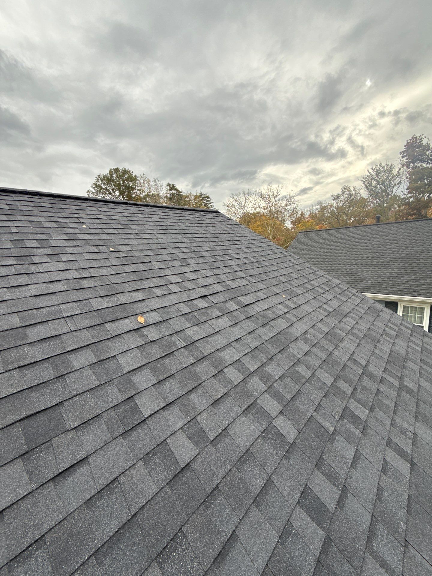 Alexandria :Residential Roof Replacement with CertainTeed Landmark Pro in Max Def Moire Black  by RM Banning, Inc.