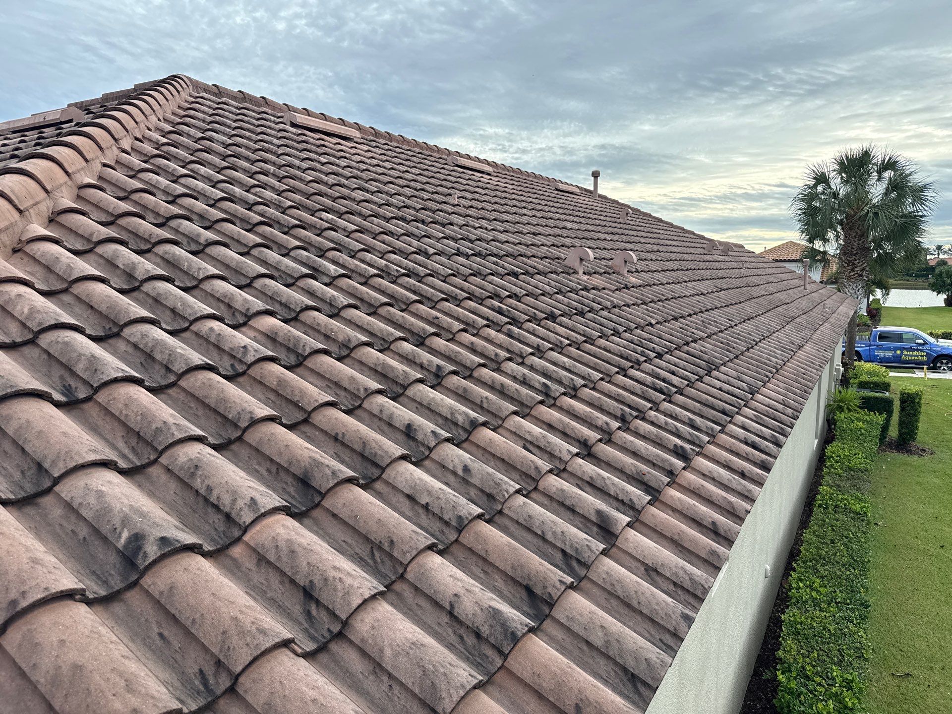 🌿 Tile Roof Cleaning in Lakewood Ranch — Safe for Plants & Tortoise-Friendly! 🐢✨ by Sunshine AquaWash