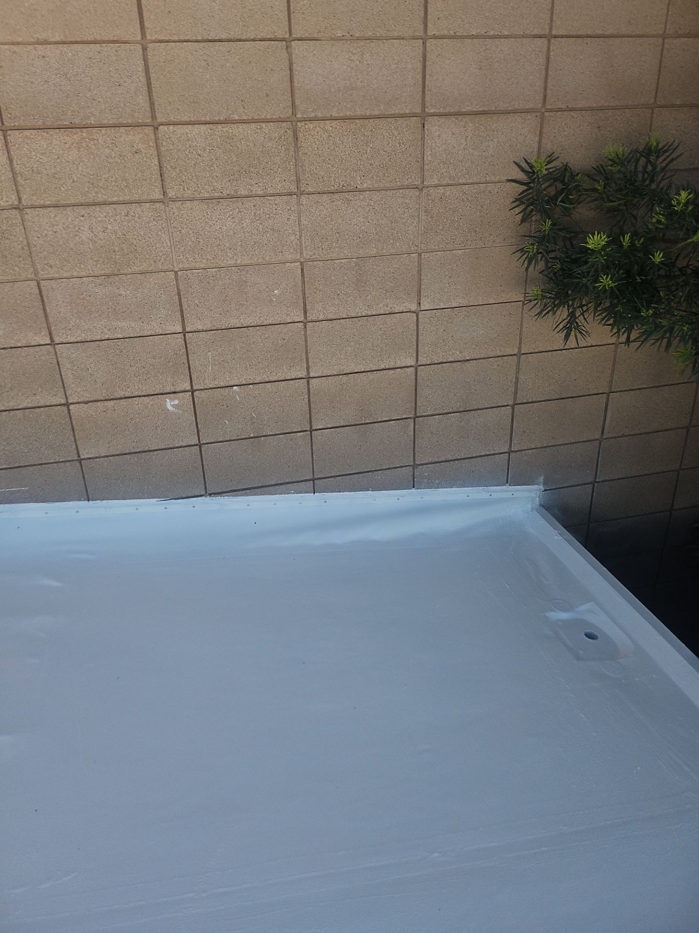Single-ply restoration system using Benchmark/PUMA XL coatings over TPO single-ply roofing by Straight Edge Roofing Inc