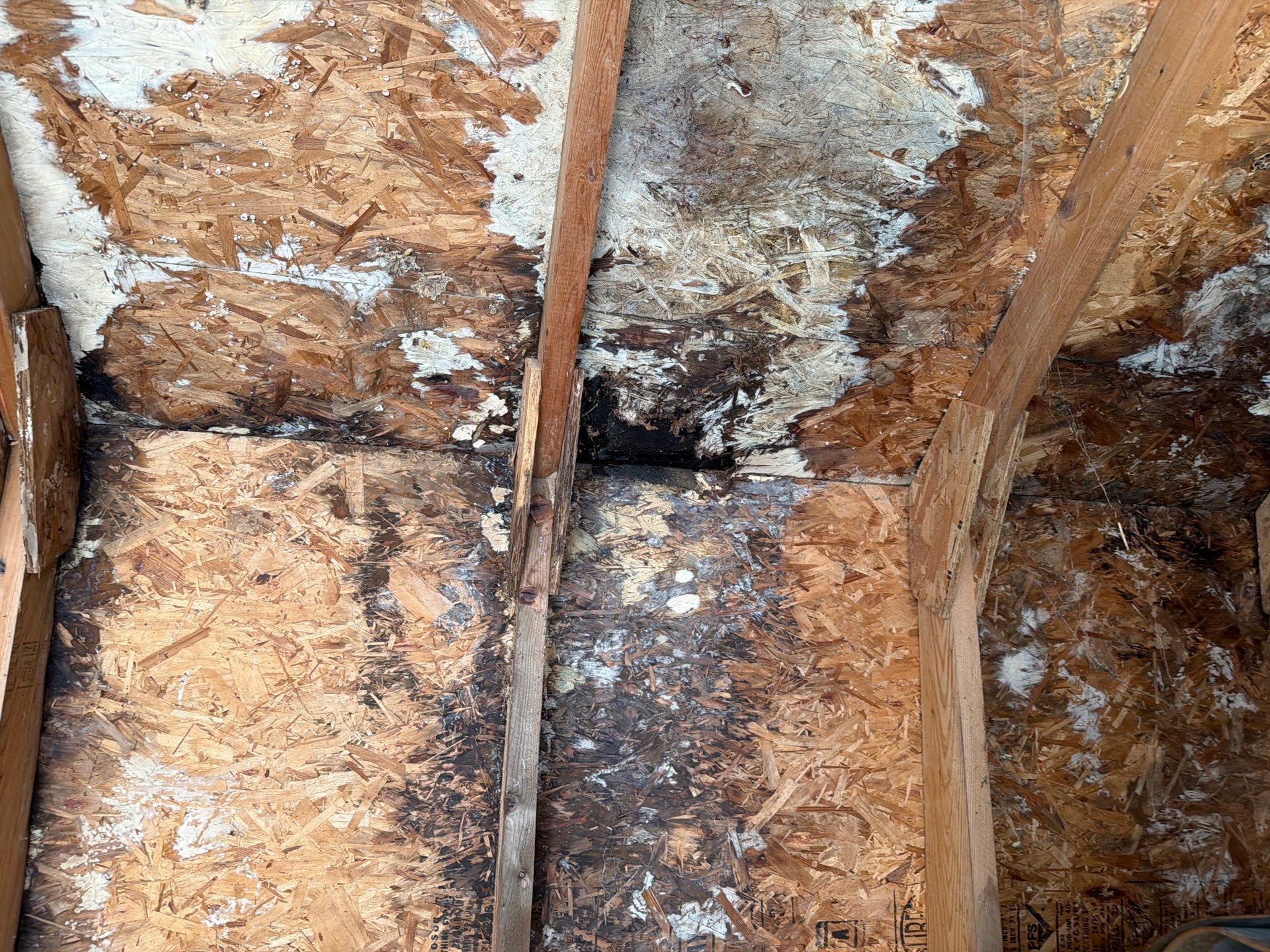 Water Damage Claim in Huntingdon Valley by FLAPA & KeyStone