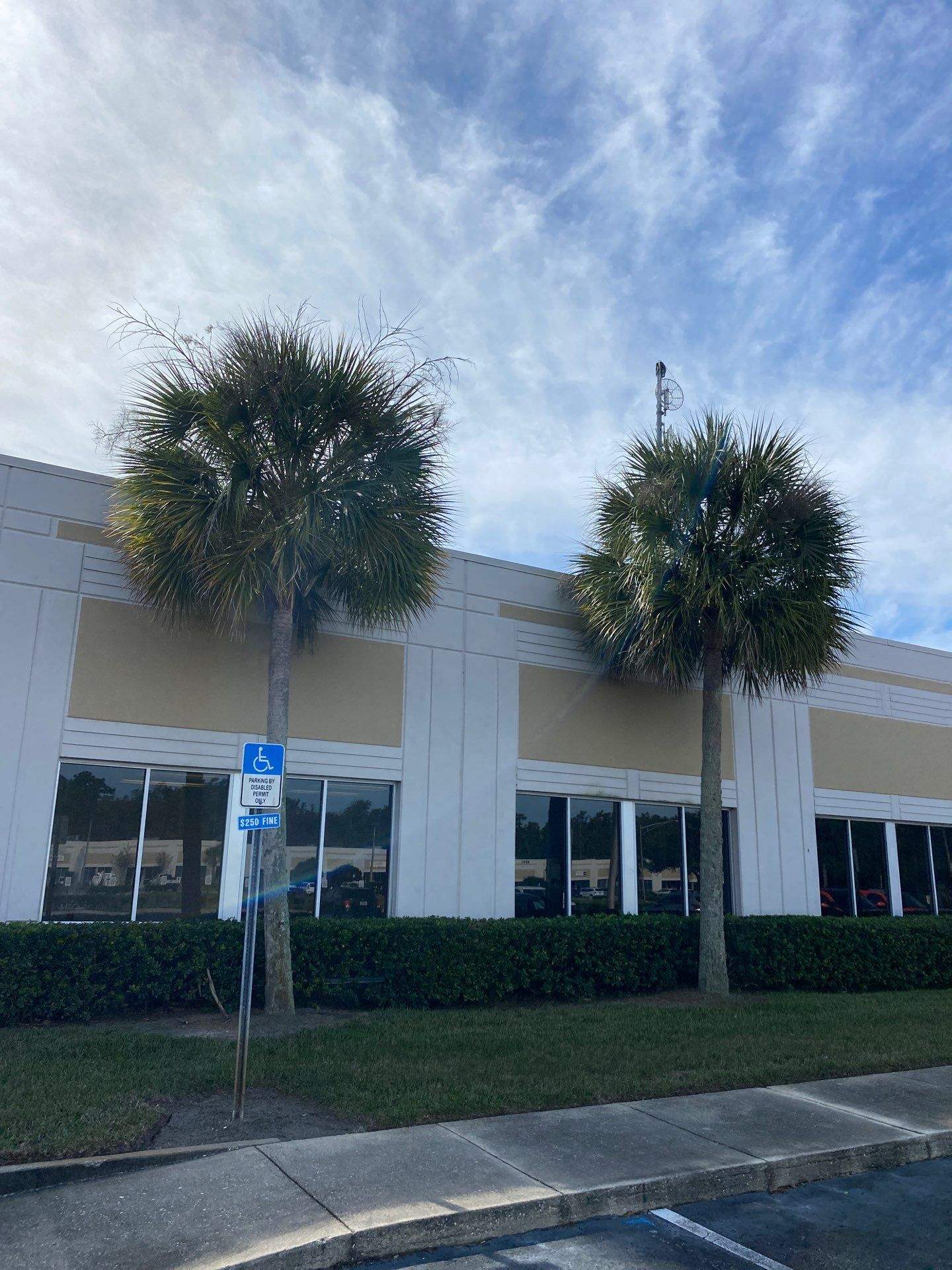 Tree & Palm Trimming | Commercial Property by ProGreen Services