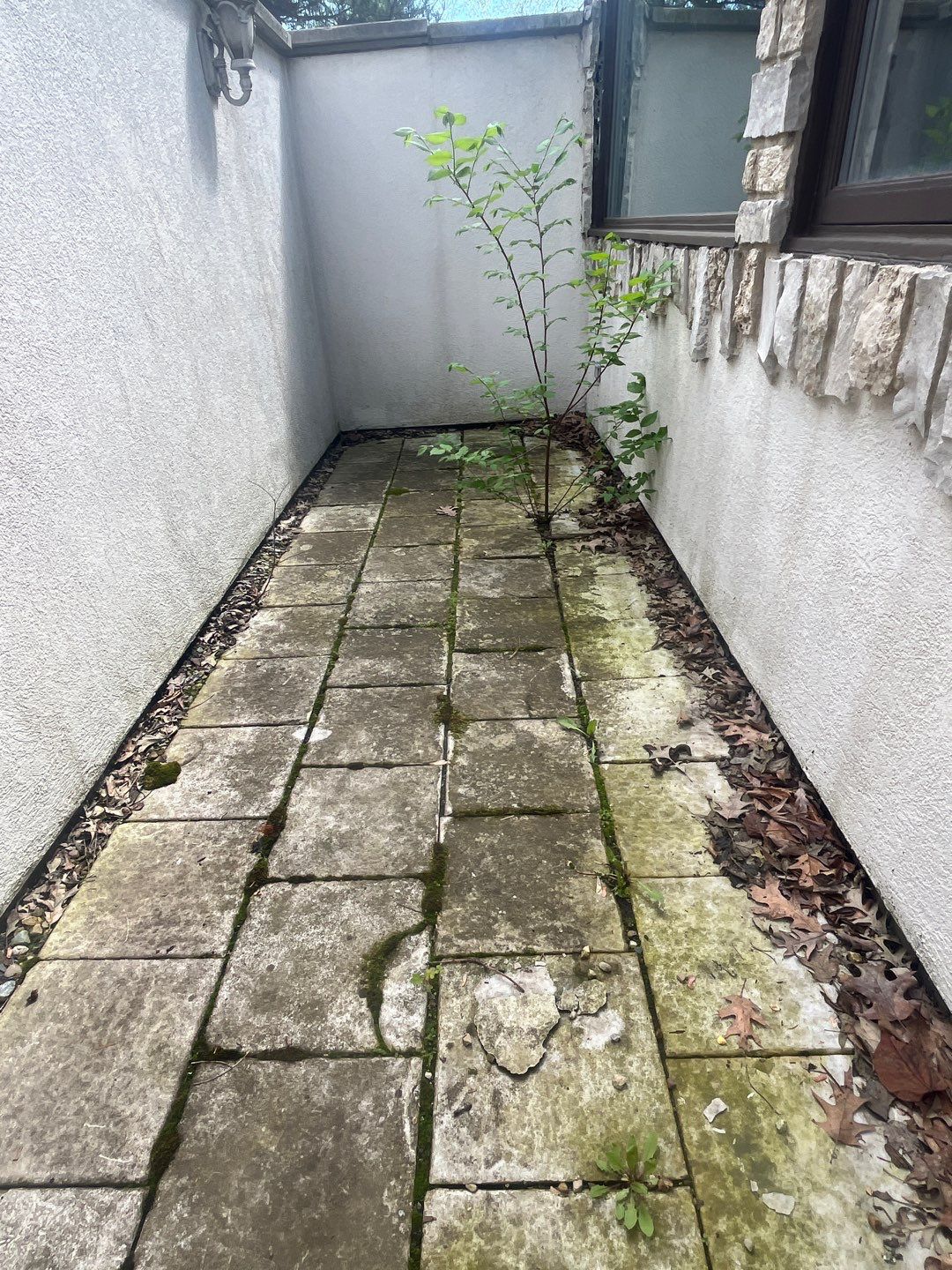 natural stone using Algaecide, soft wash soap by Northern Power Washing LLC.
