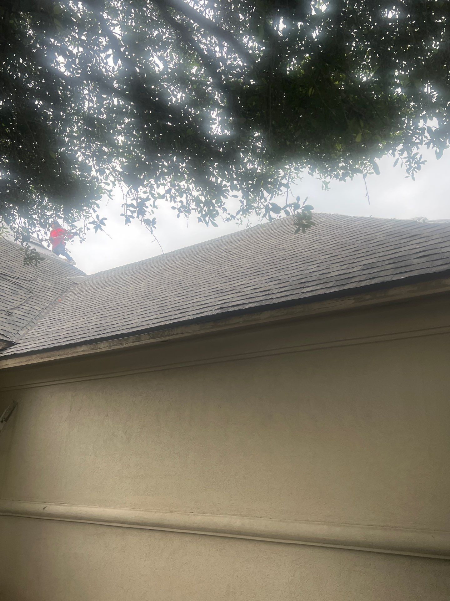 Project in Forney by Rhino Roofing and General Contracting, LLC