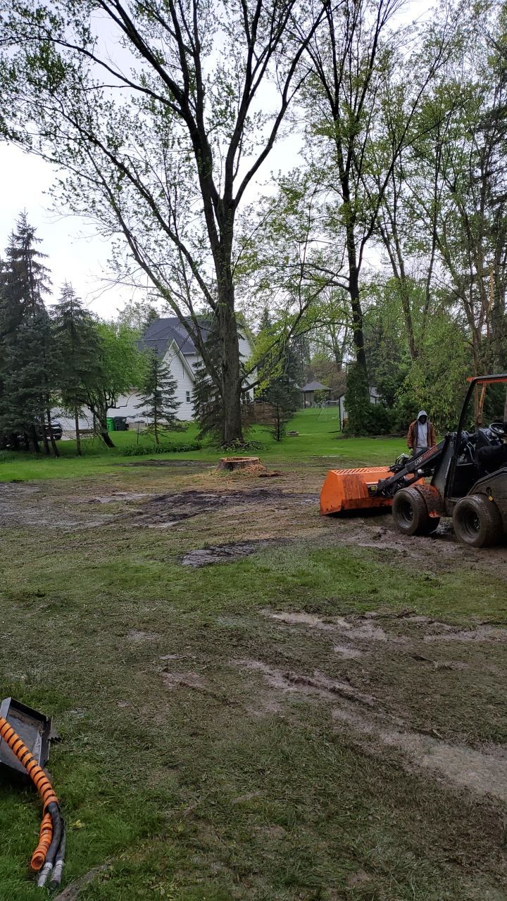 Tree Removal using Tree Removal by Mike Jones & Sons Tree Service LLC 