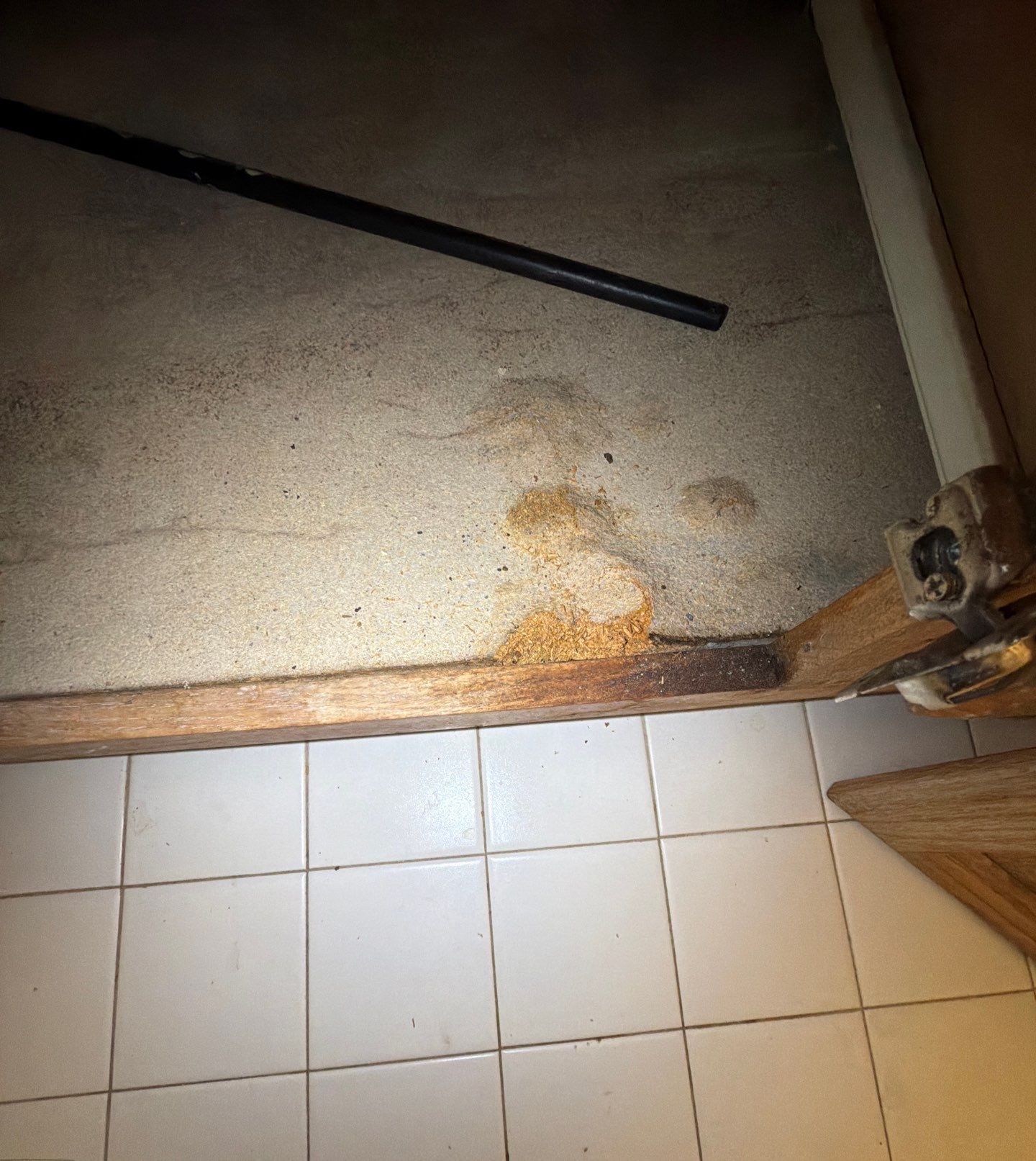 Project in Springfield by Restoration Doctor