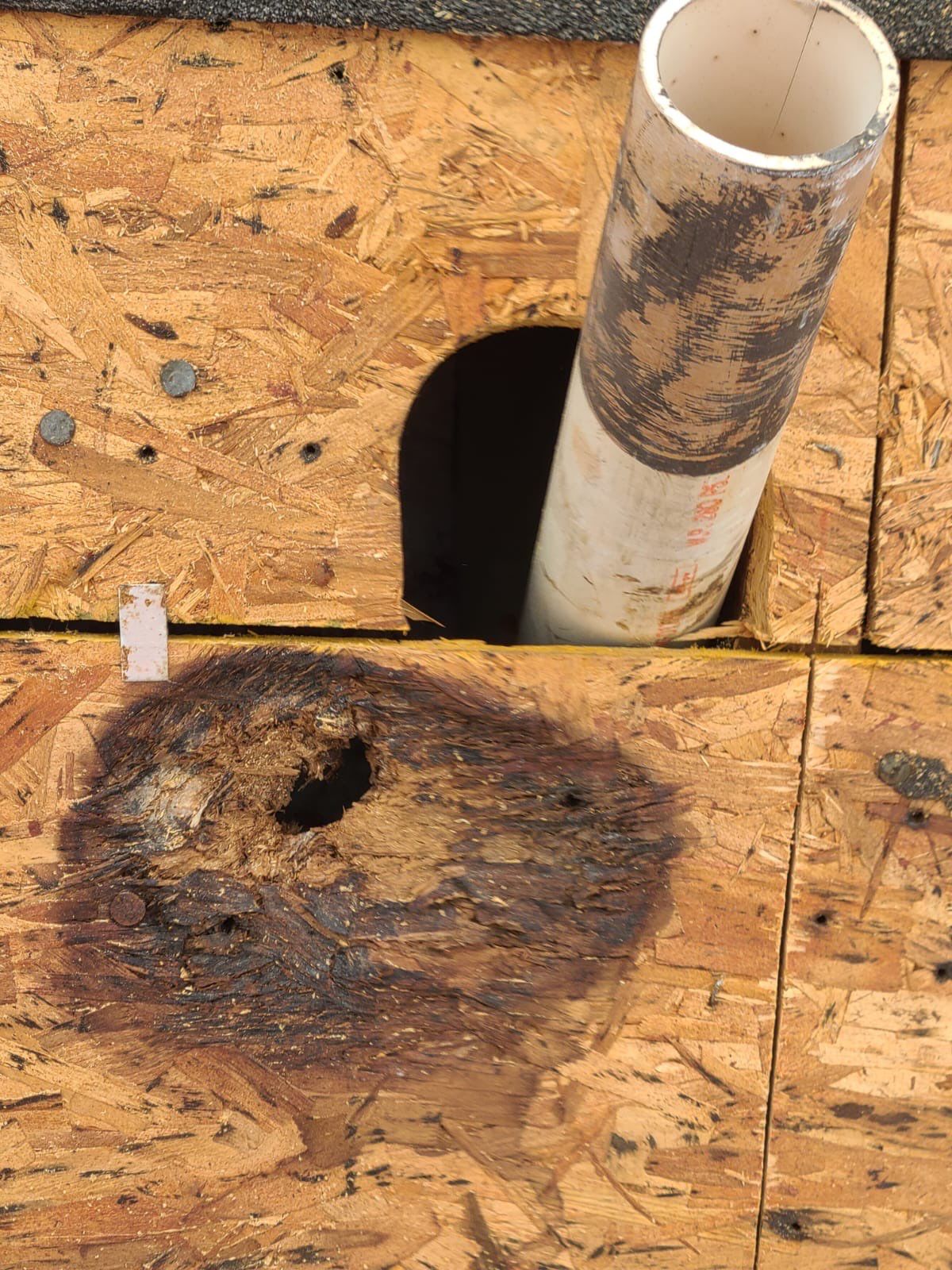 Roof Repair Spring by Roof Repair Company