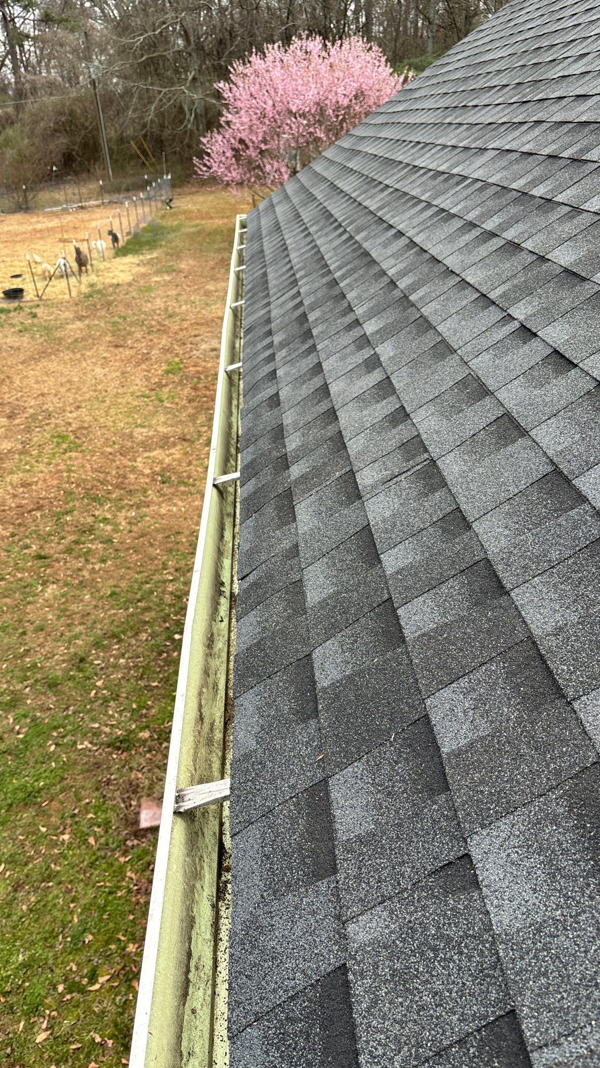 Roof Replacement by Deerfield Roofing LLC