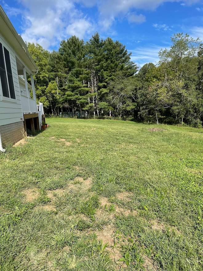 Clay street  by Back To Nature Landscaping & Construction