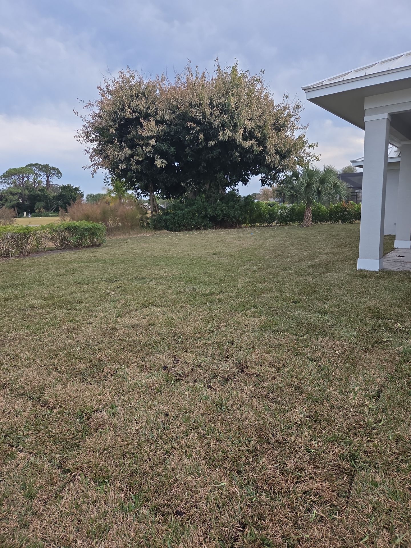 Landscaping and Irrigation for New Construction in Mariner Sands by Alpha Zeta Enterprises Inc