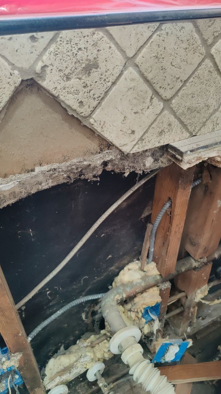 Mold Damage by Accountable Home Services