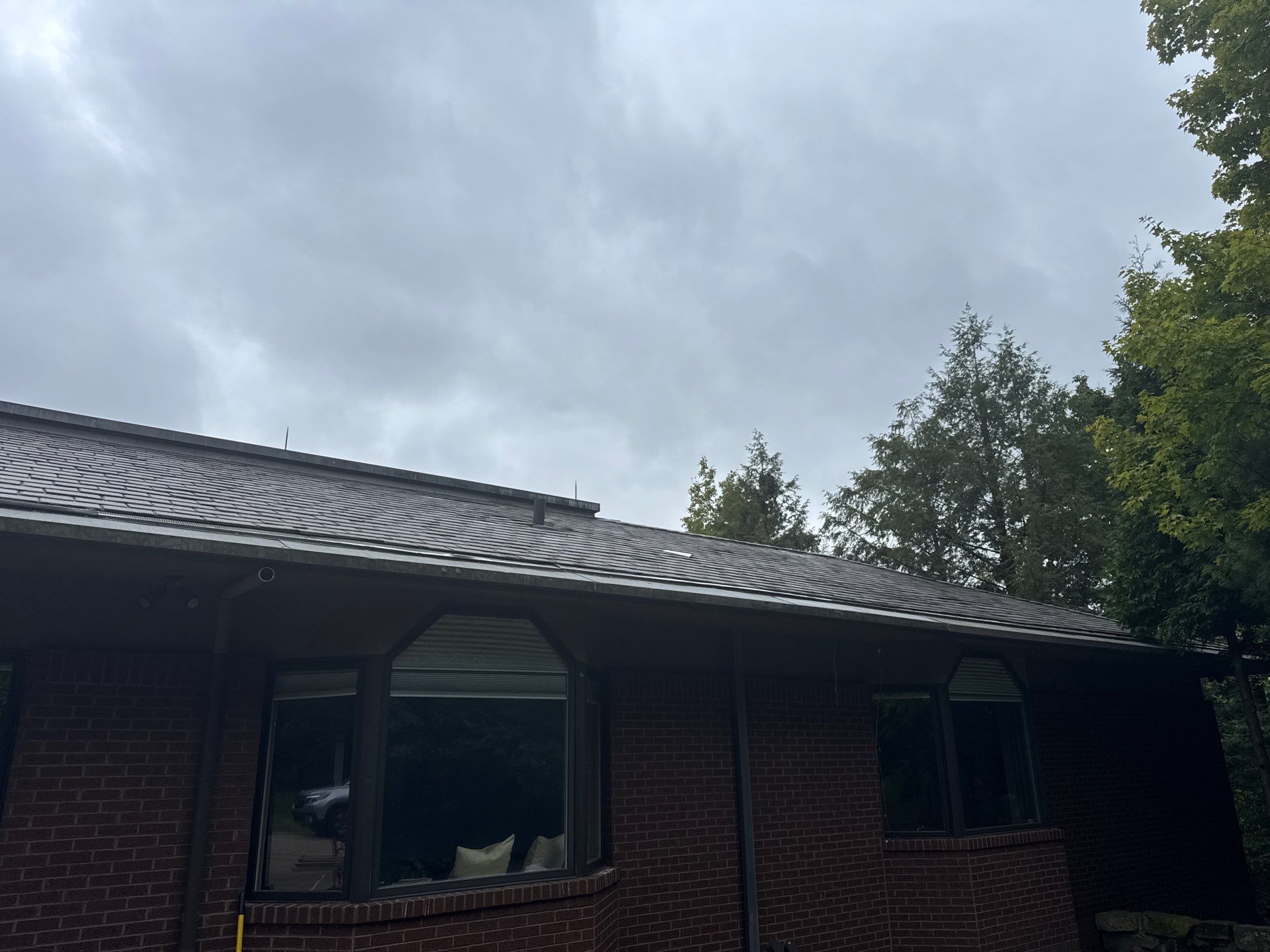Frances Pantelides by Silver Leaf Contracting 