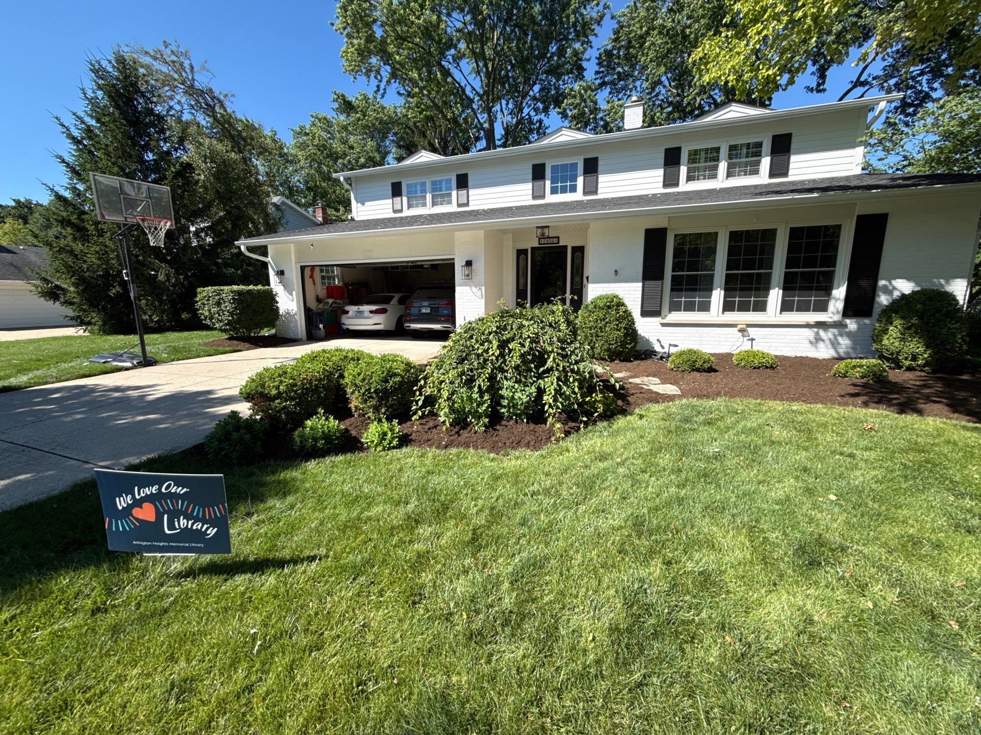 Lesley D. - Arlington Heights, IL by A&N 