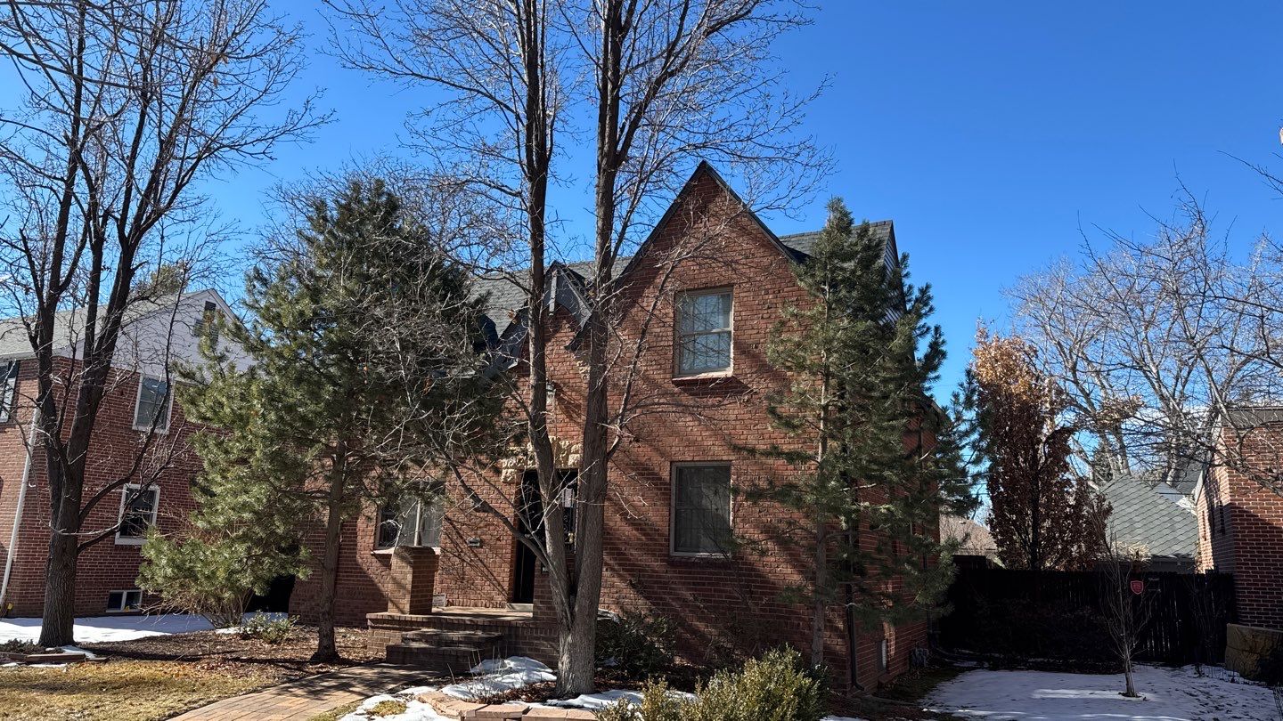 Old dog learns new tricks! by Modern Roofing Group