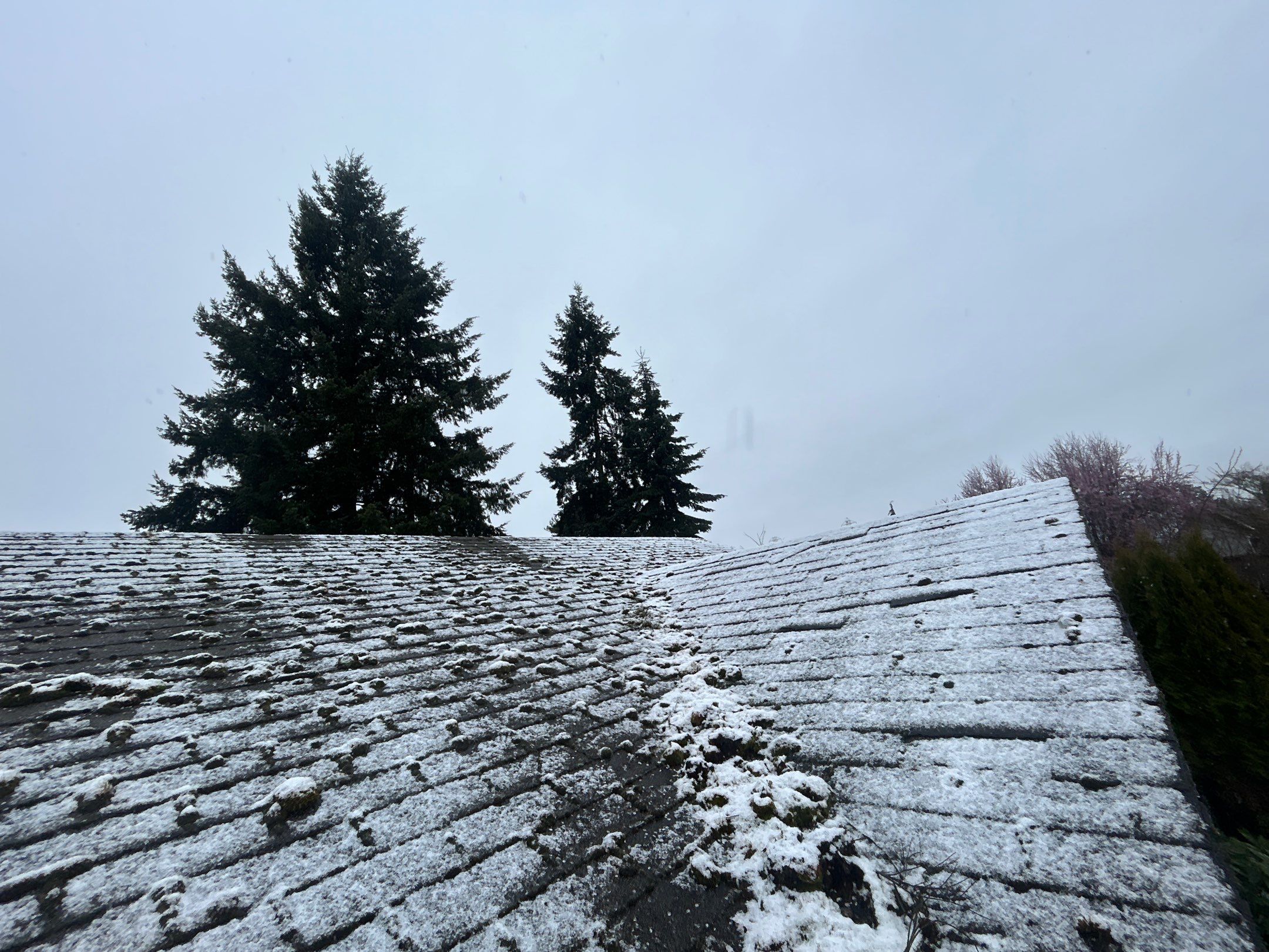 Roof in Lake Stevens by Connolly Construction Company