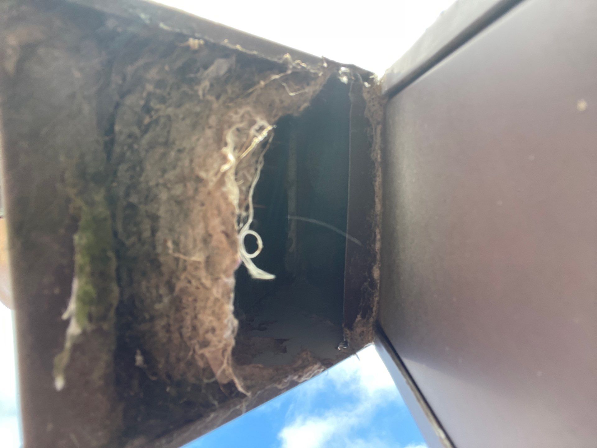 Air Duct and Dryer Vent Cleaning in Clermont by Hygienic Air, Inc