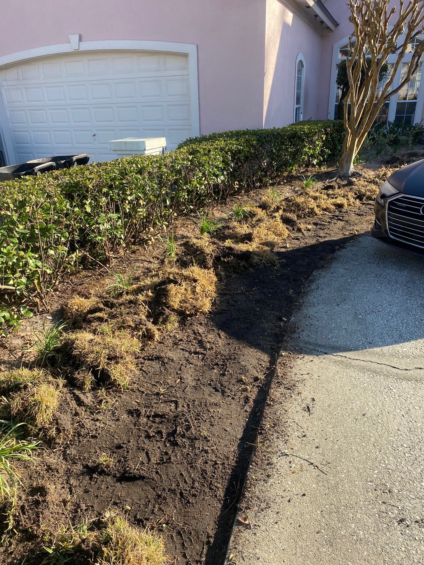 Deerwood Resident | Tree Removal & Clean-Up by ProGreen Services
