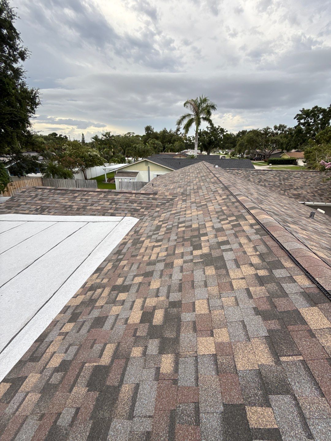 Project in Pinellas Park 33781 by Mitchell Roofing Company LLC 