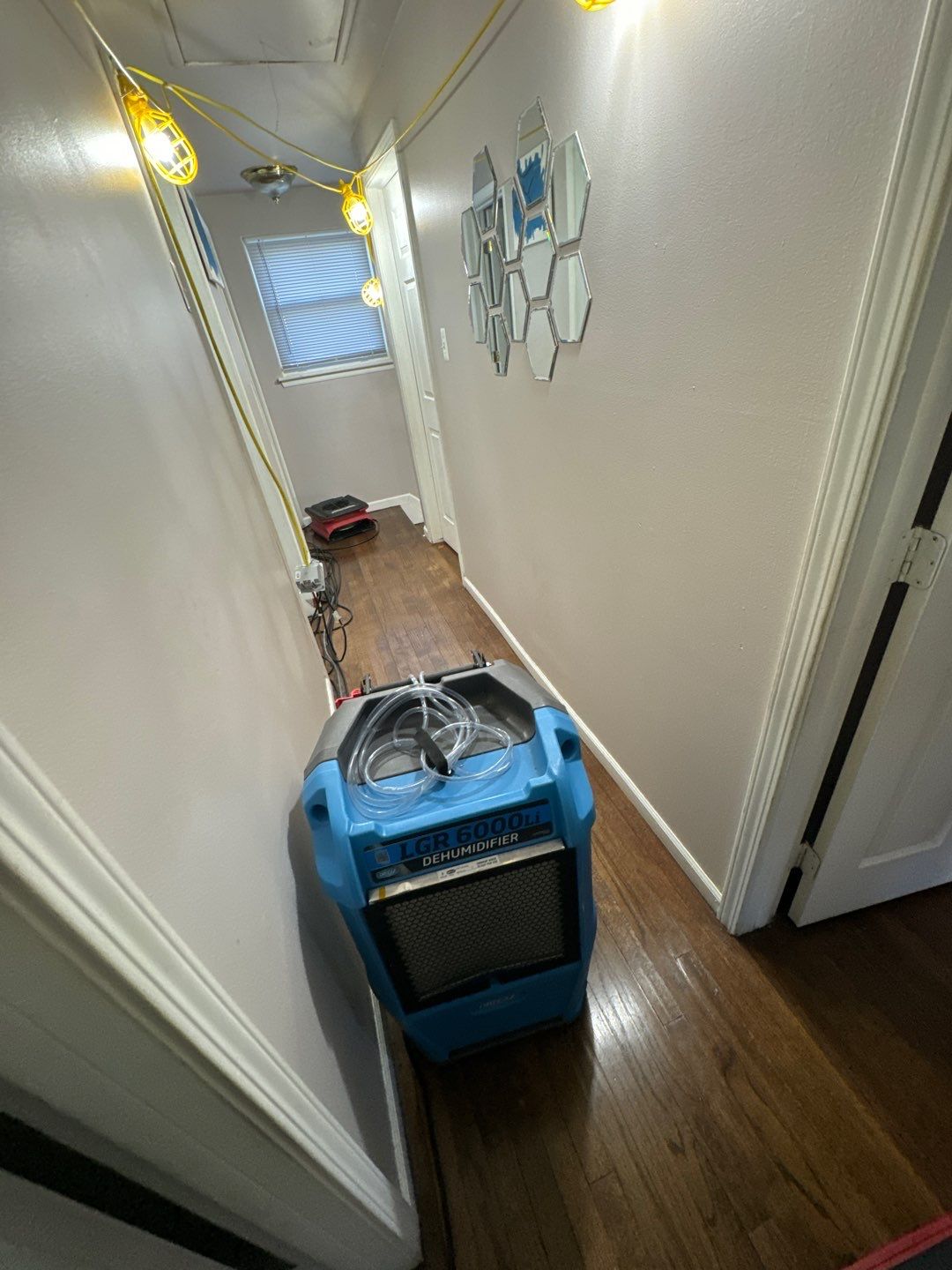 Project in Sterling Heights by EzDry Water Mitigation & Property Restoration