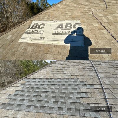 Roof Repair 