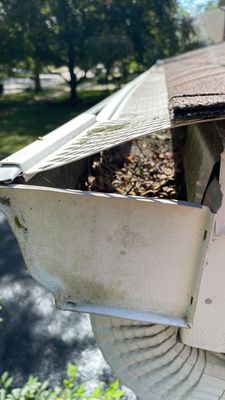 Turtle Shell gutter protection installation in Naperville, IL 60540, photograph 19
