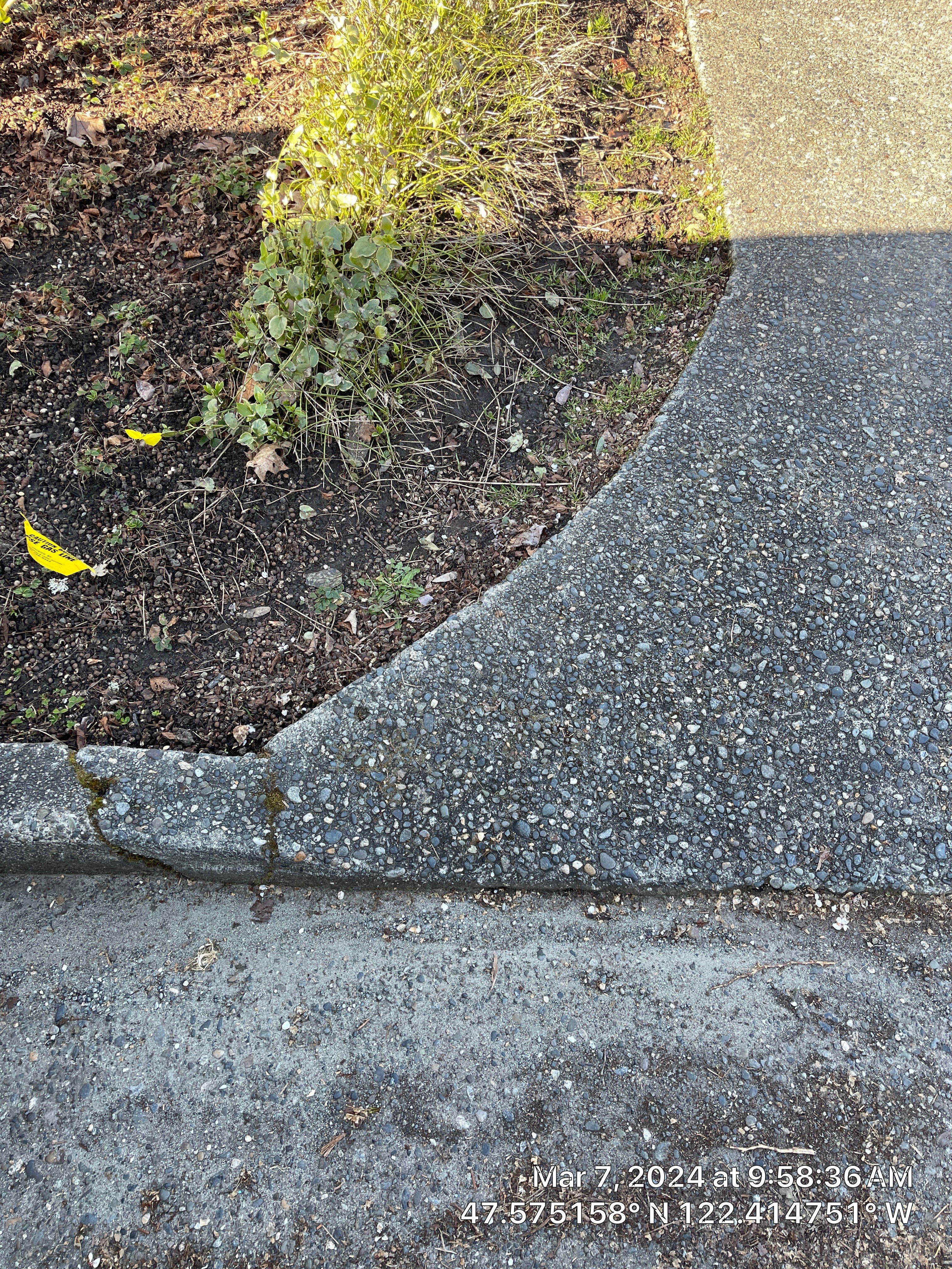 Ron | Pervious Concrete Driveway  by Jireh Asphalt & Concrete Inc 