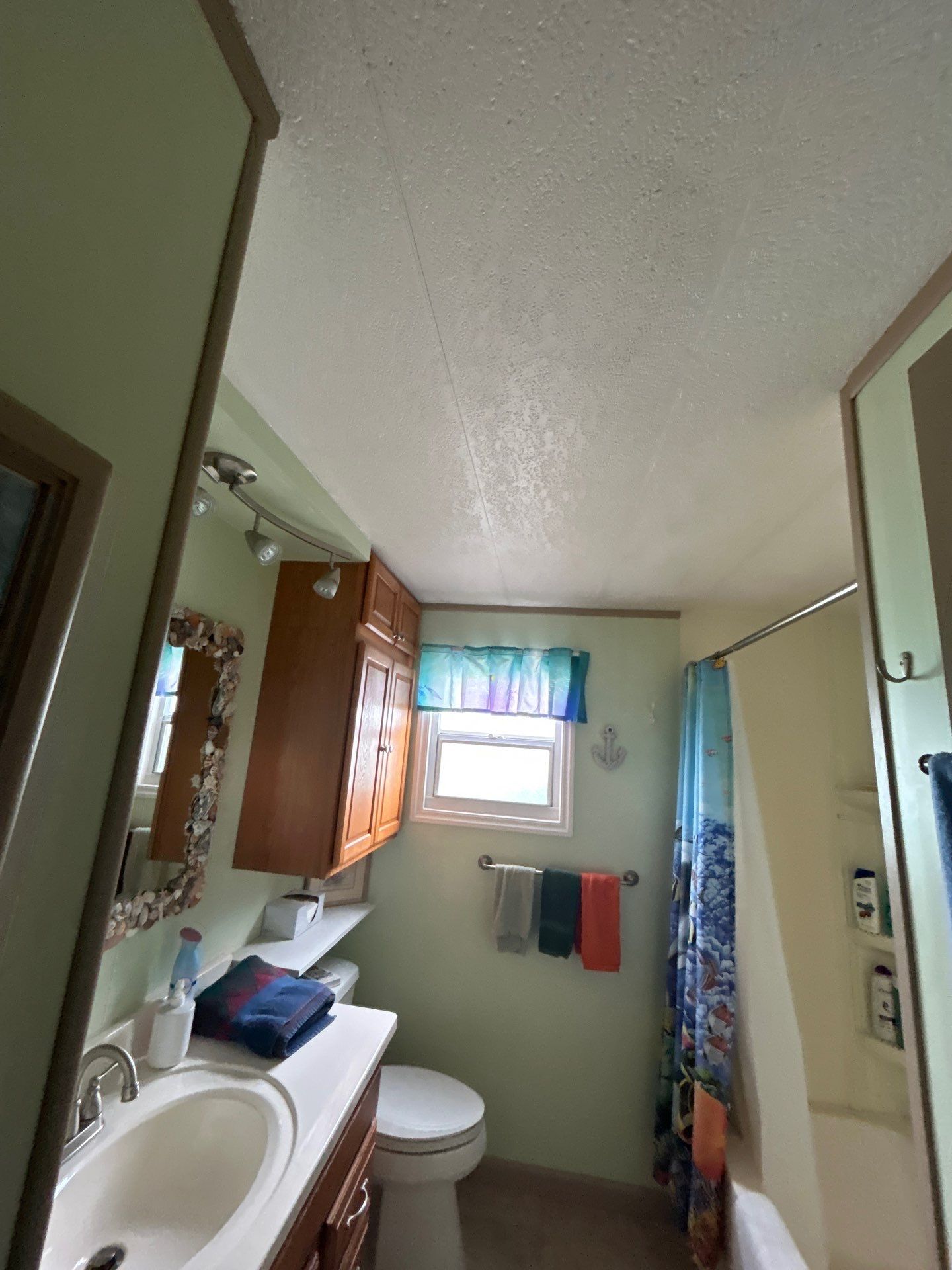 Mold Damage Inspection And Repair In Palmetto FL  by Ampm Restoration Services 
